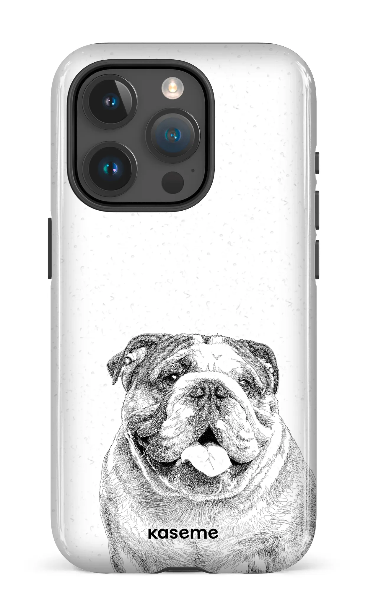 English Bulldog