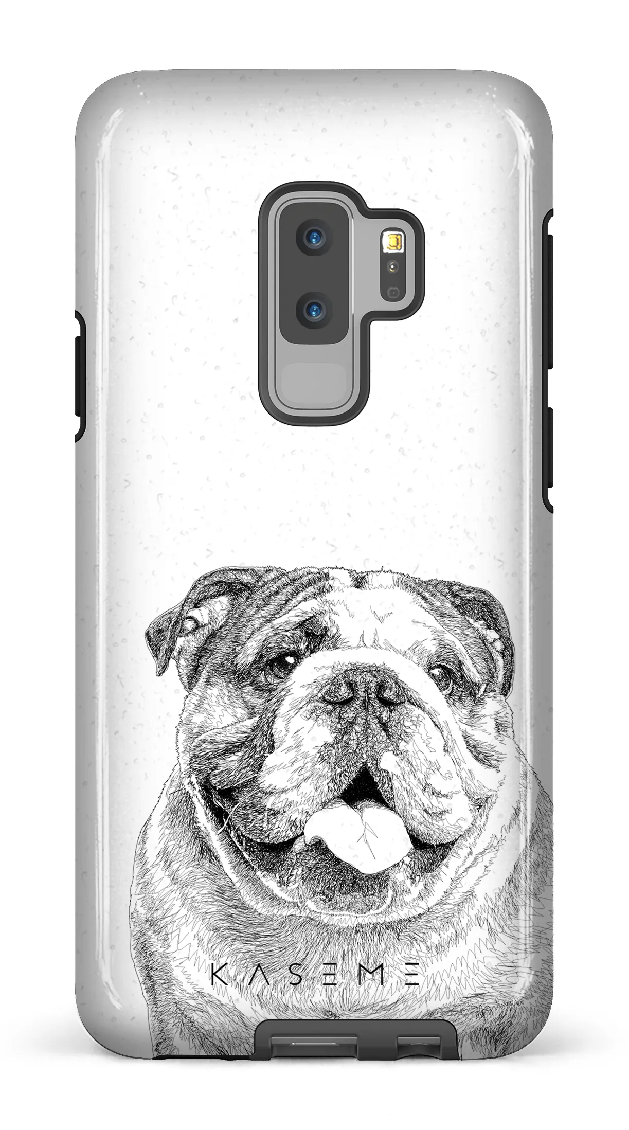 English Bulldog