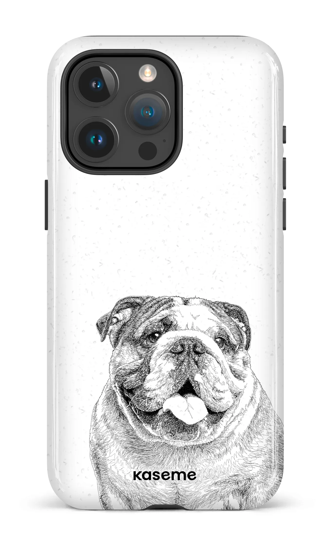 English Bulldog