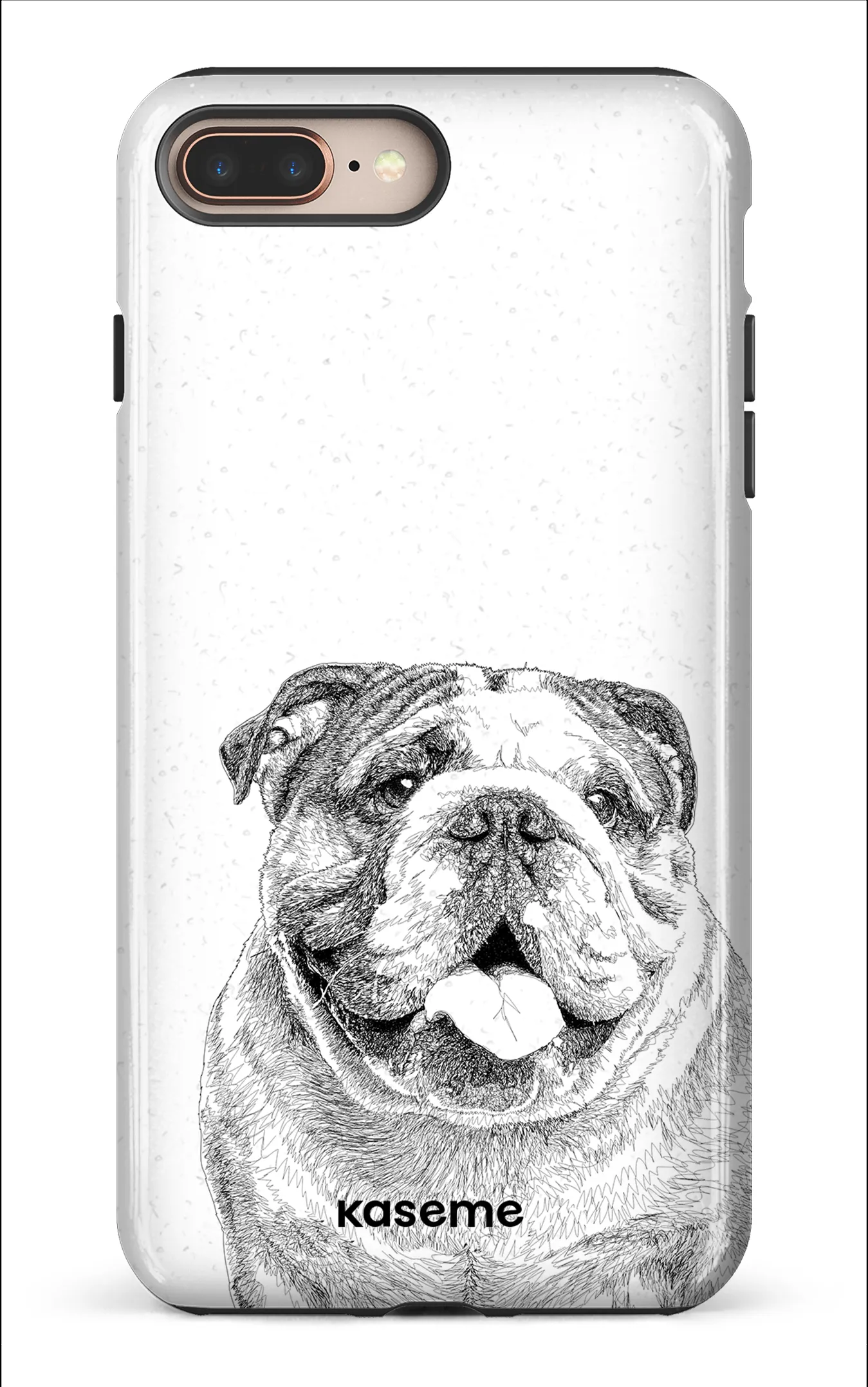 English Bulldog
