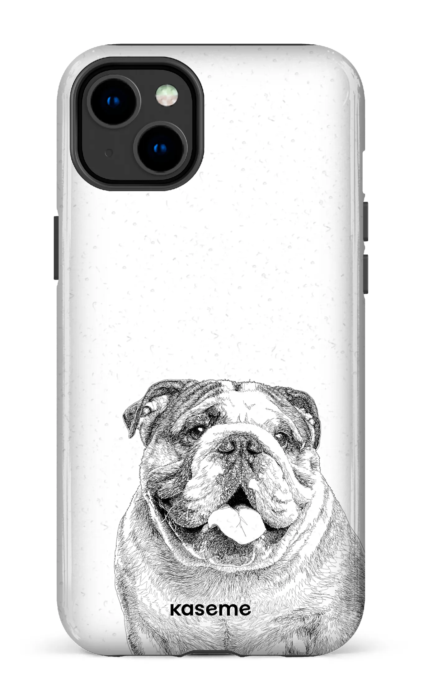 English Bulldog