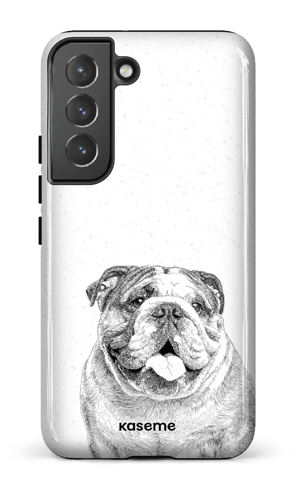 English Bulldog