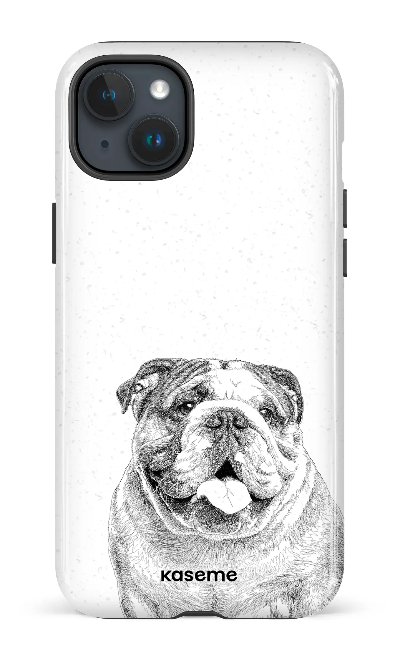 English Bulldog