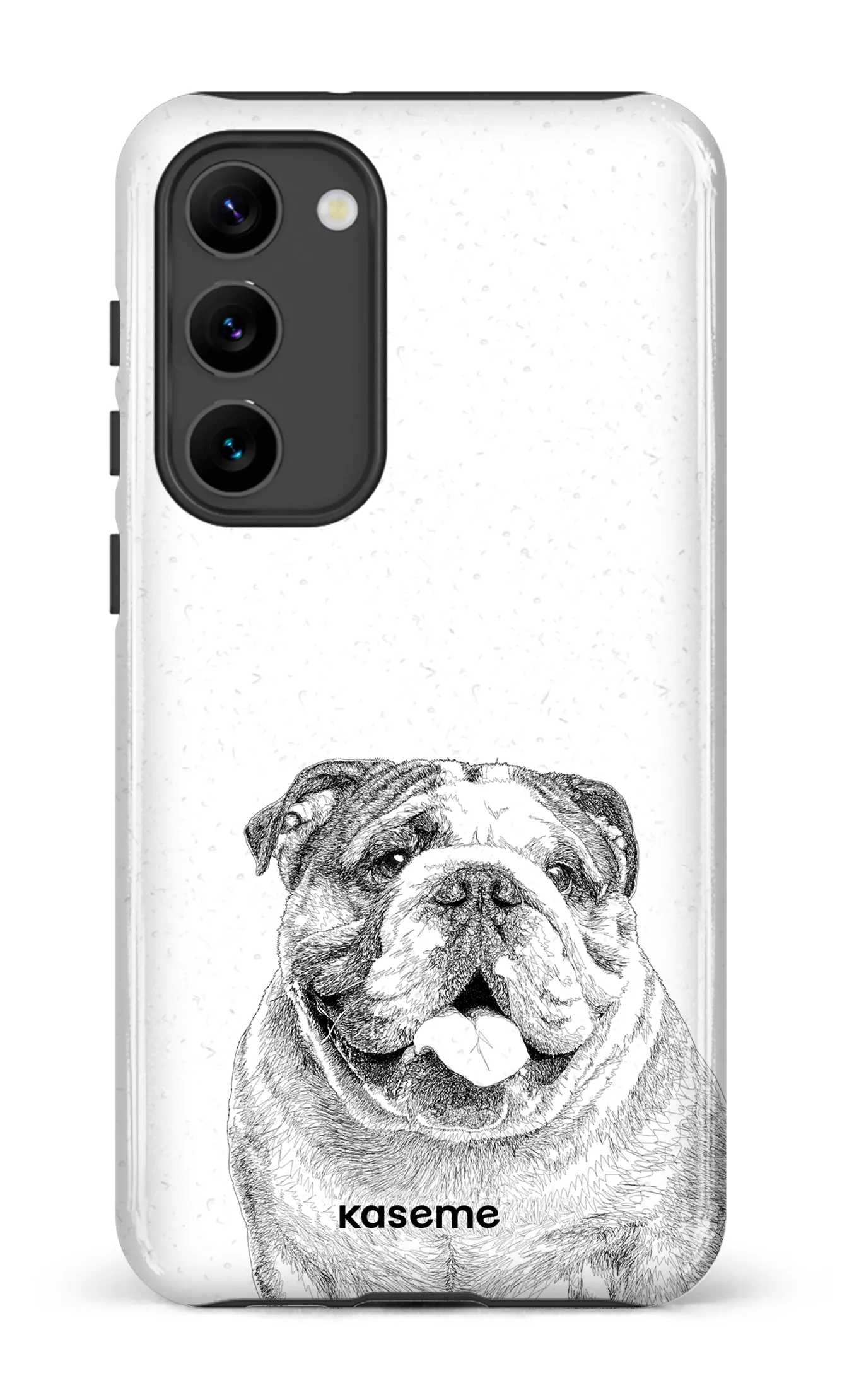 English Bulldog