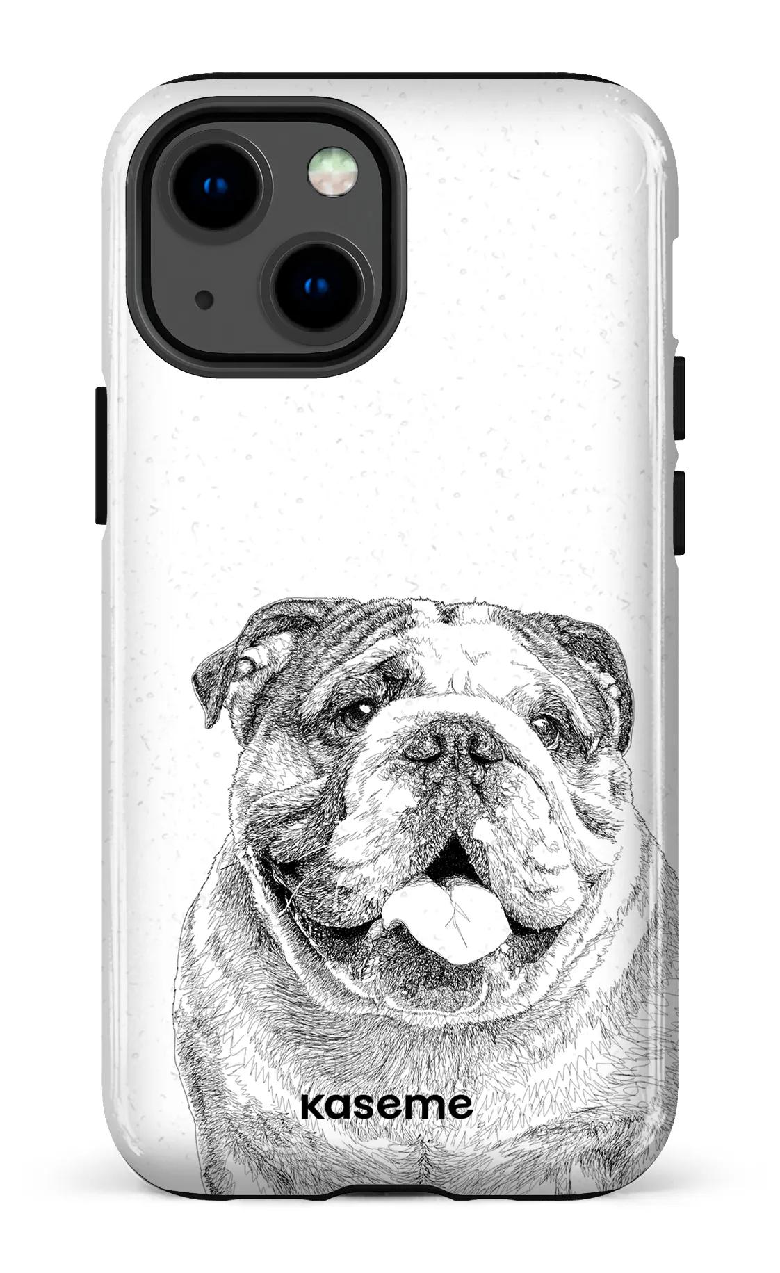 English Bulldog