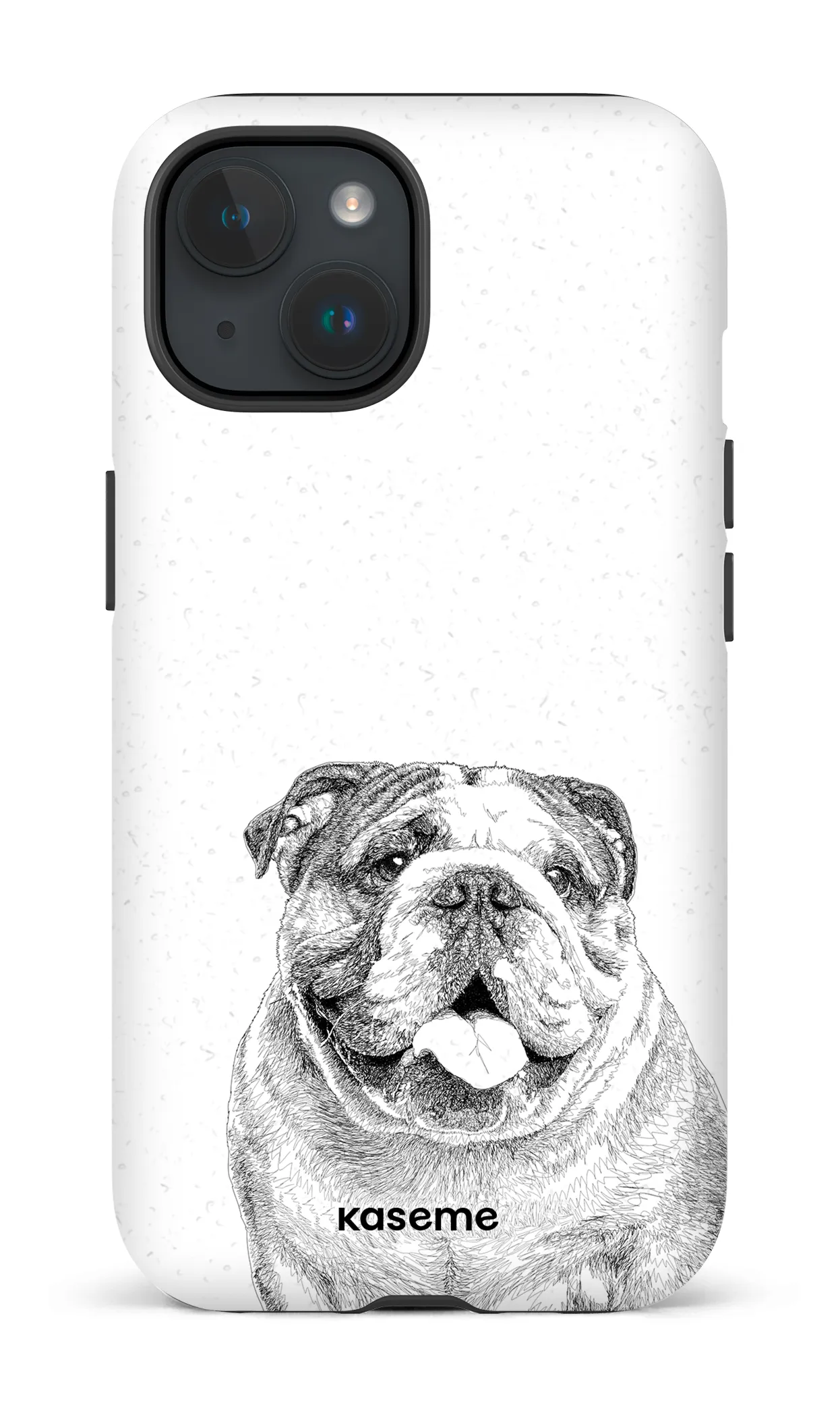 English Bulldog