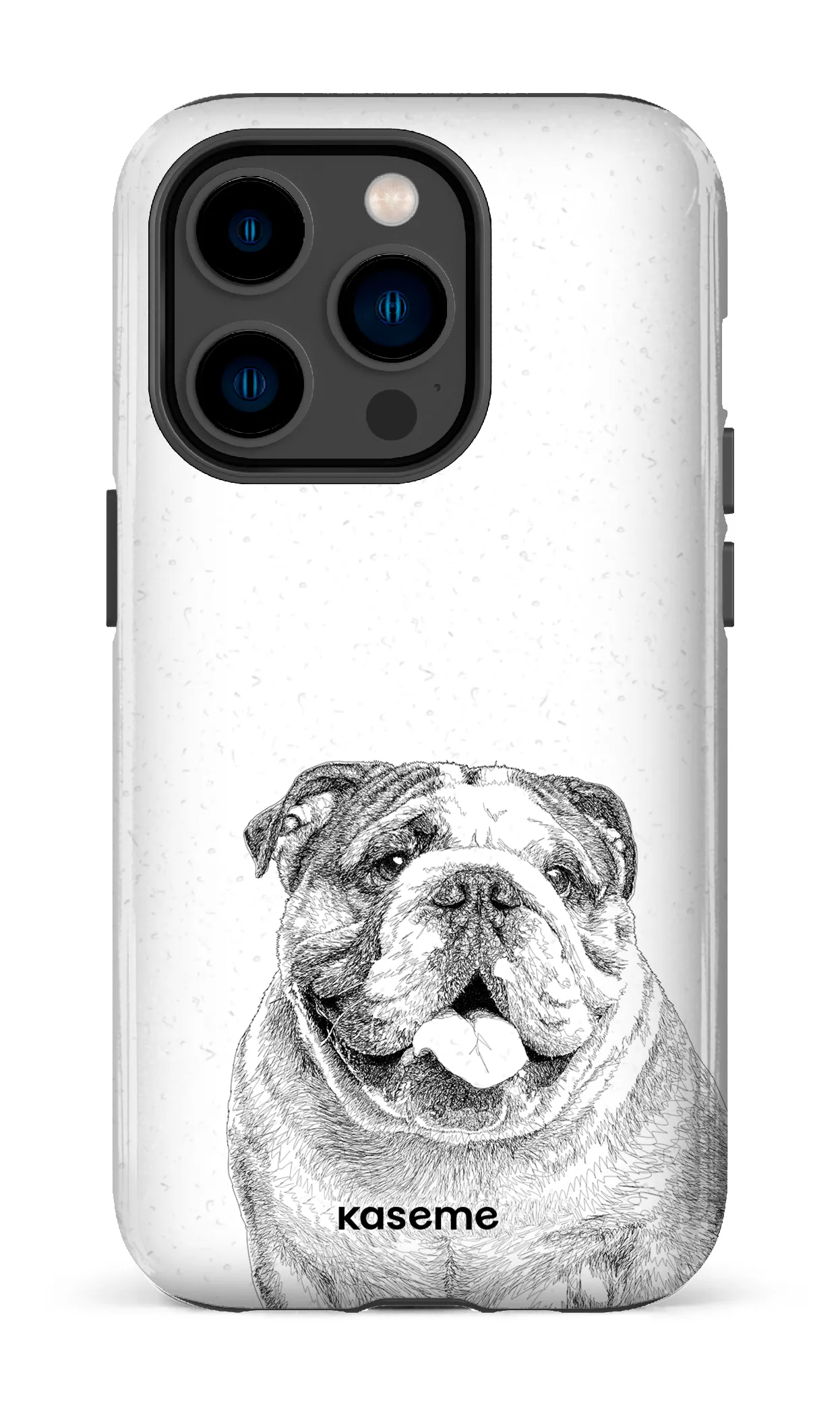 English Bulldog