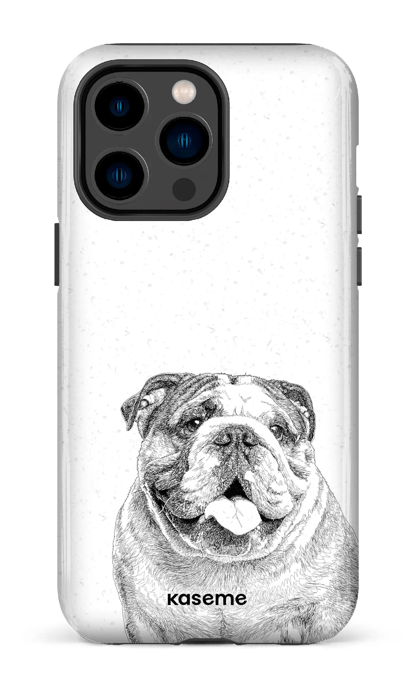 English Bulldog