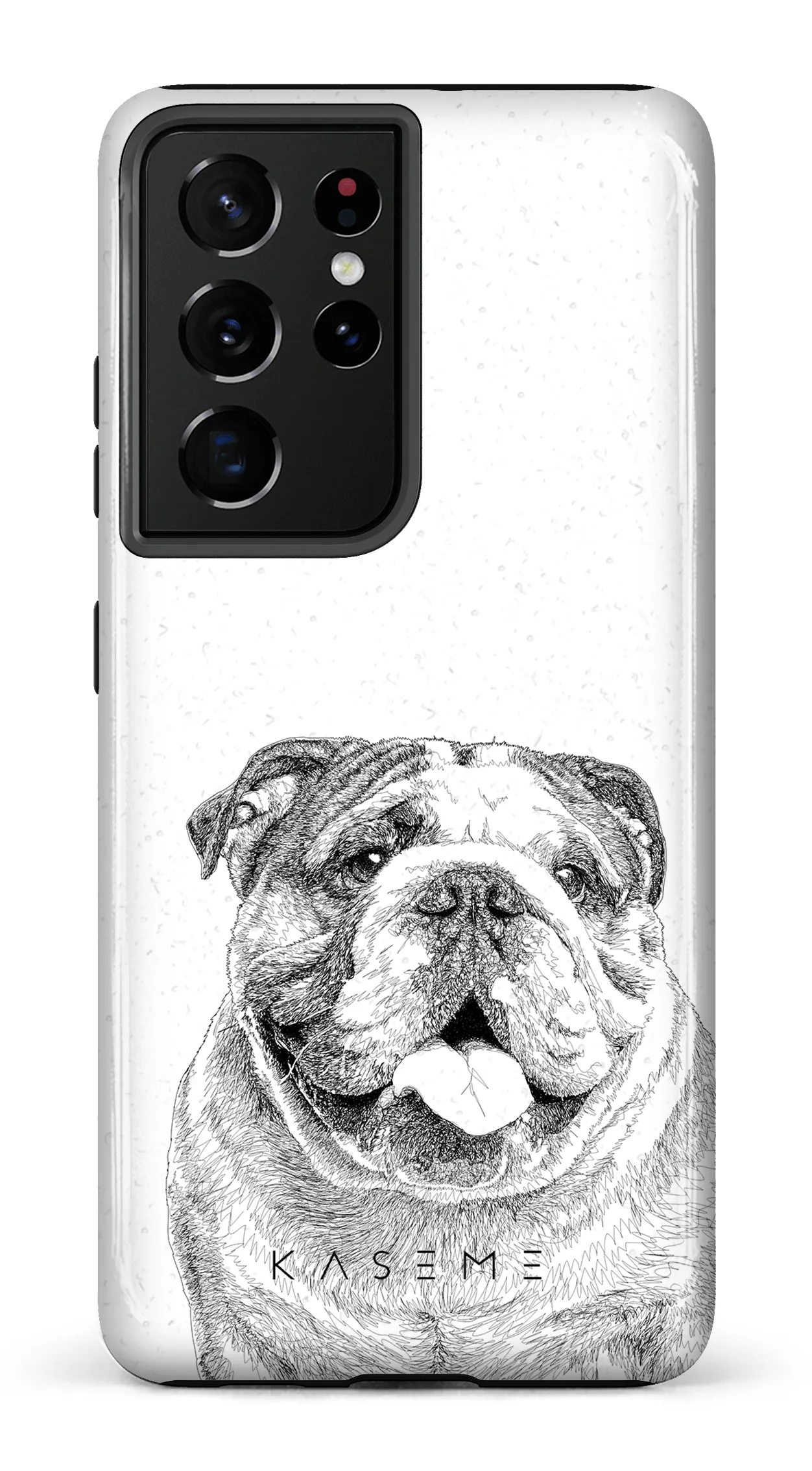 English Bulldog