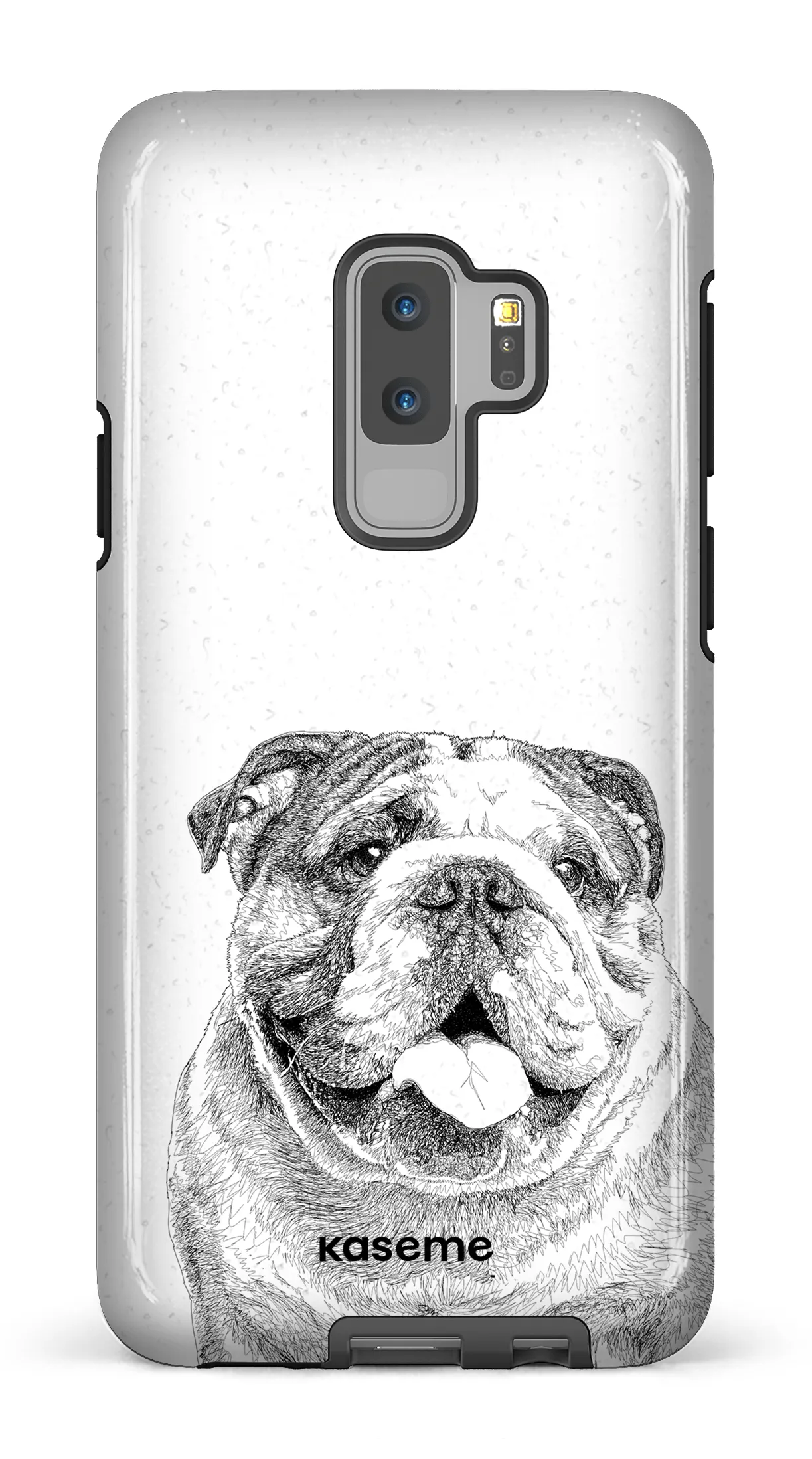 English Bulldog
