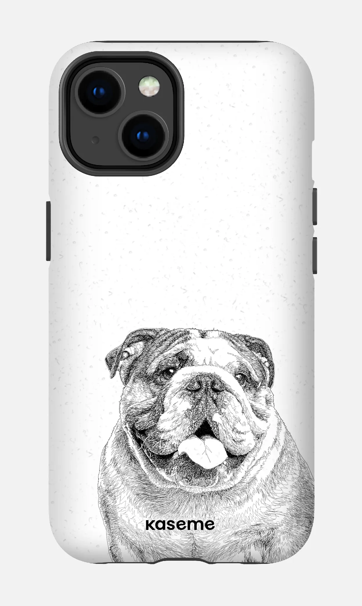 English Bulldog