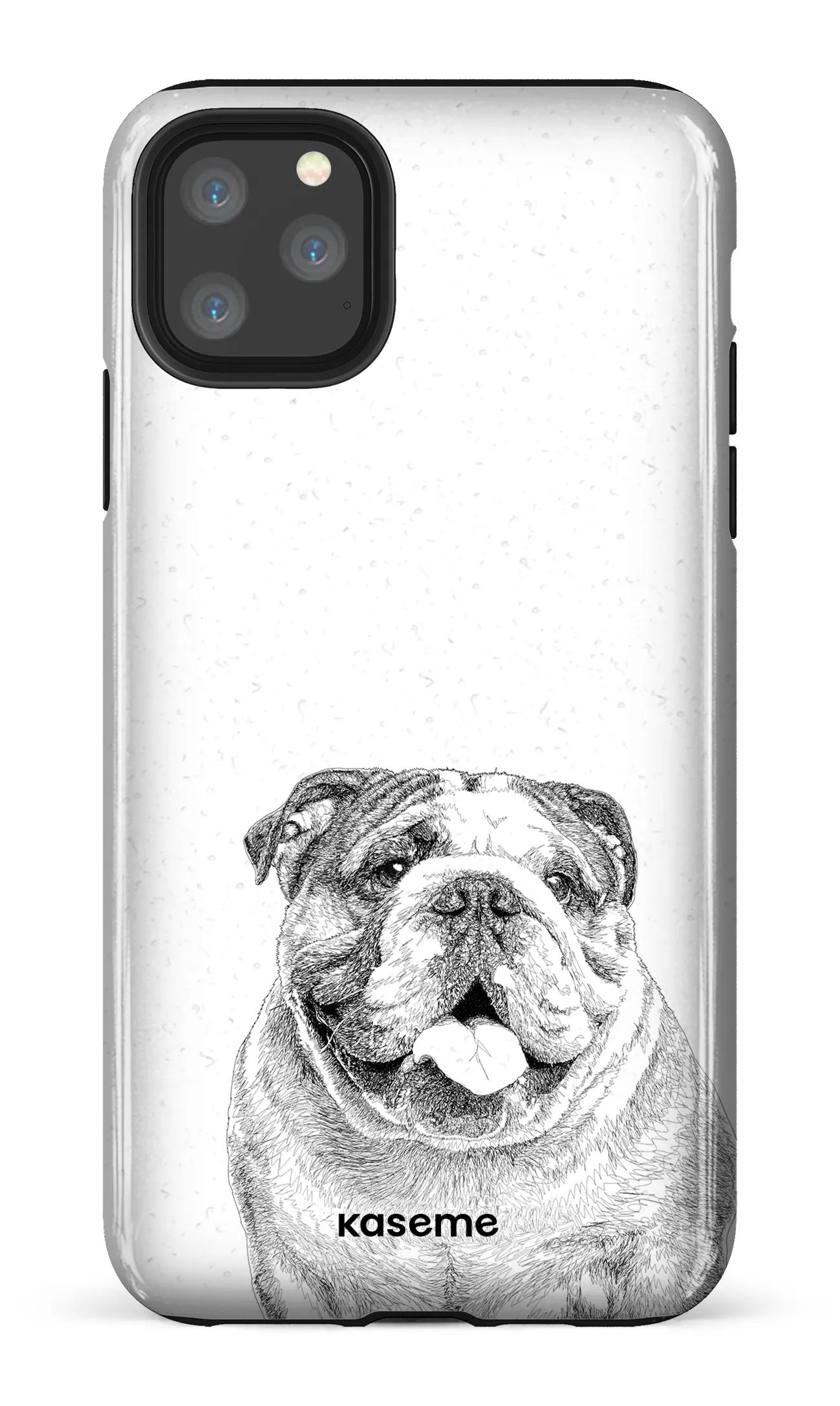 English Bulldog