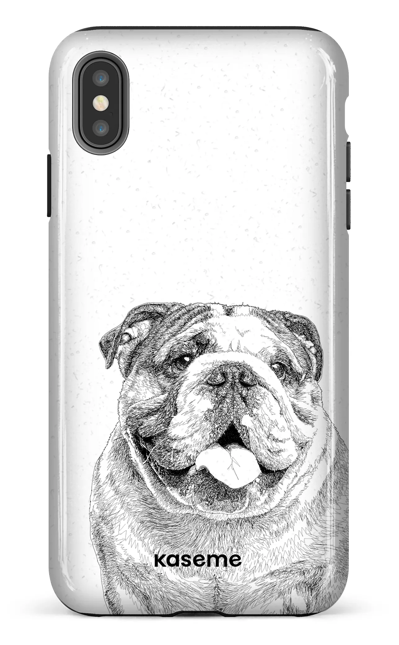 English Bulldog