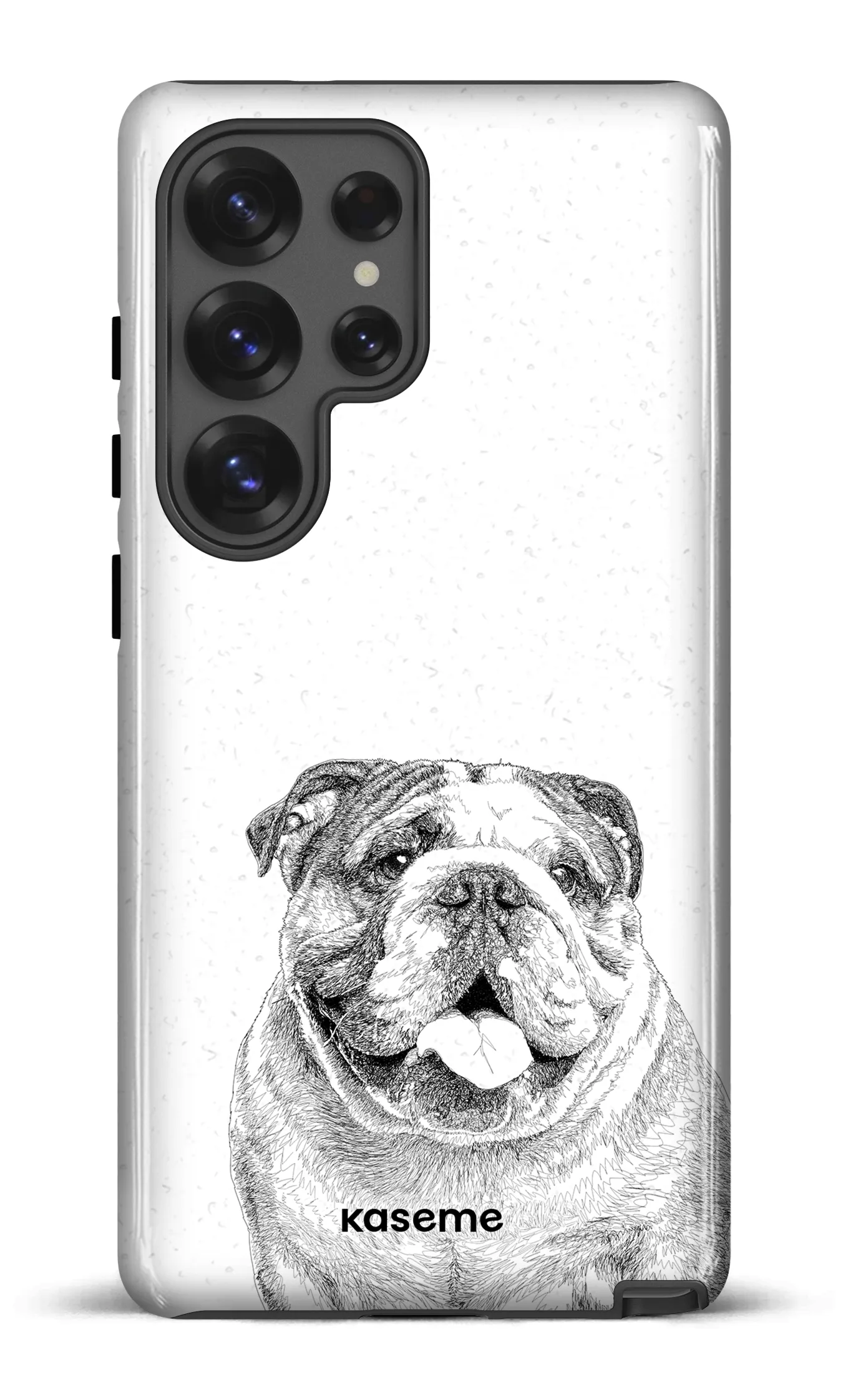 English Bulldog