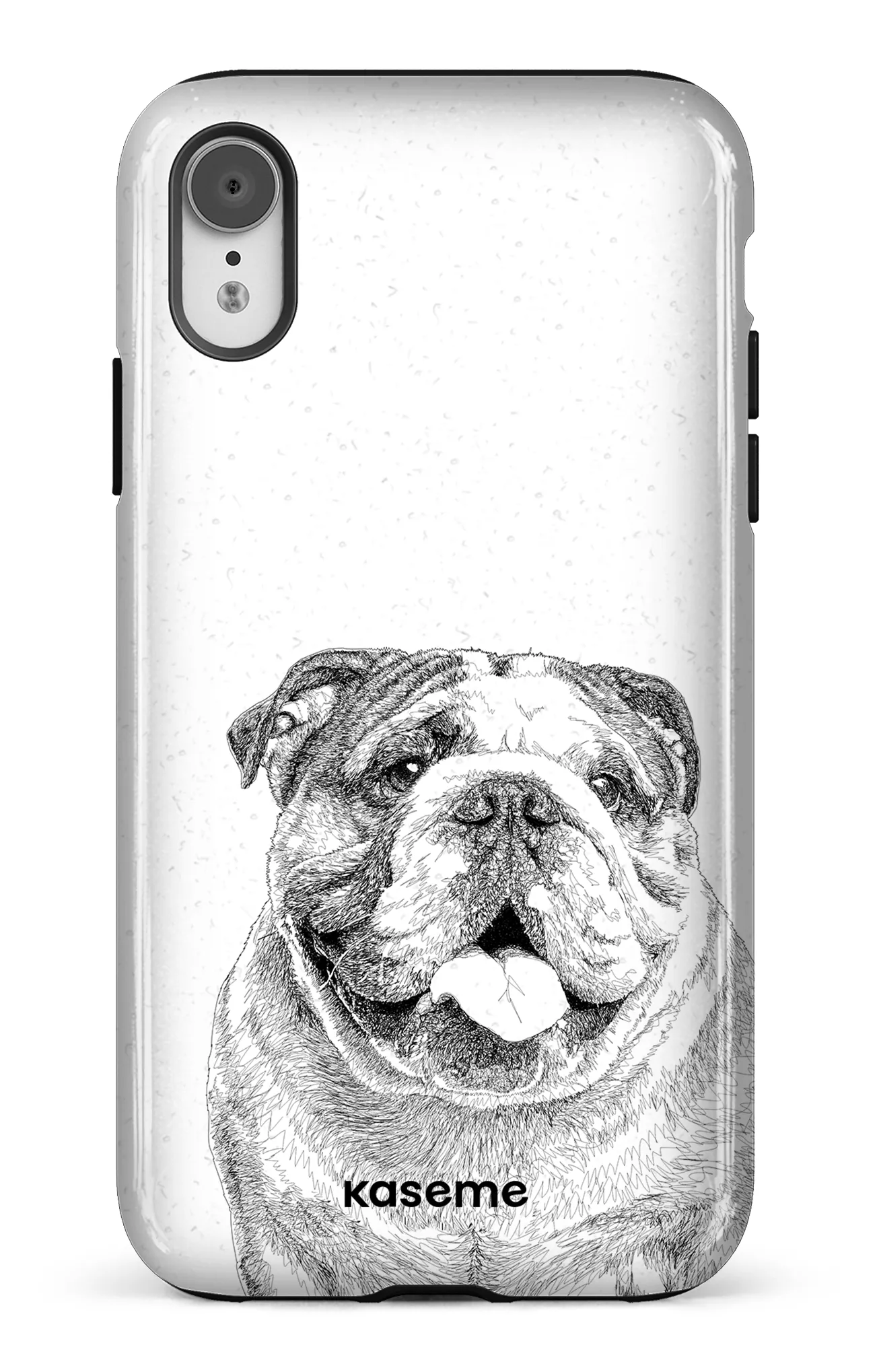 English Bulldog