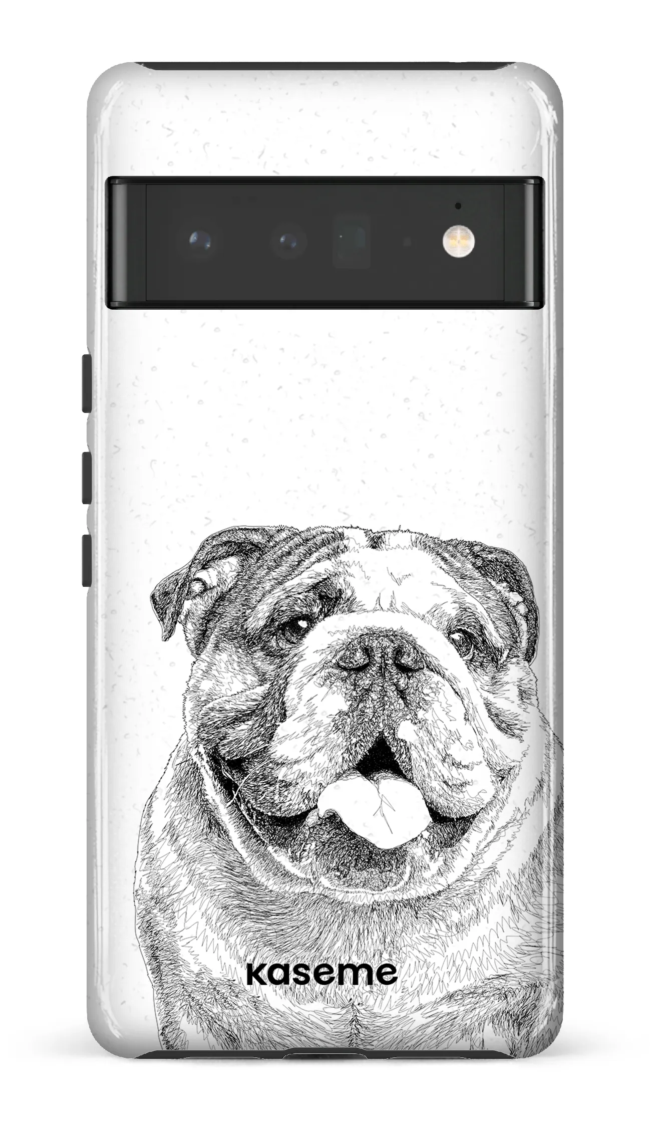 English Bulldog