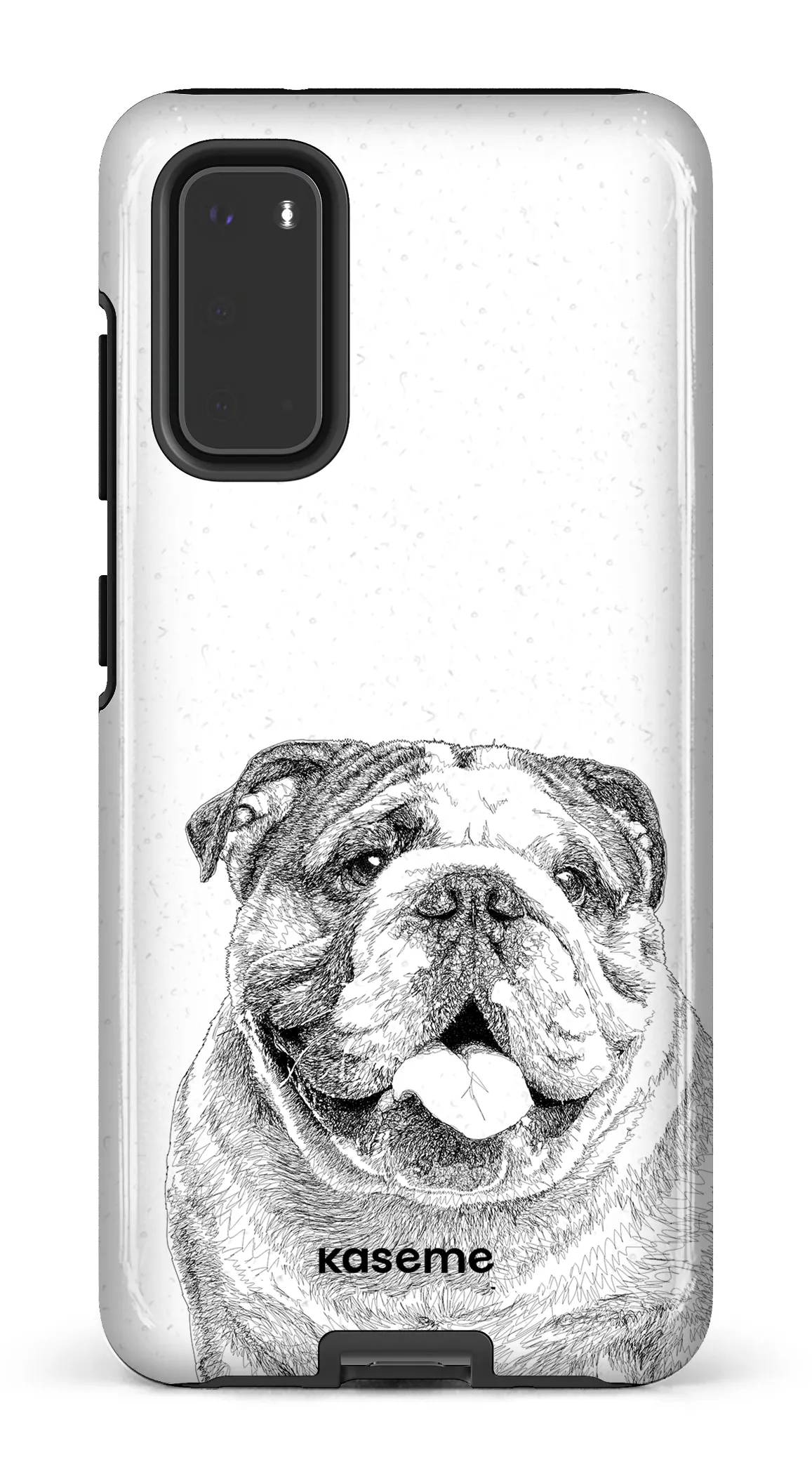 English Bulldog