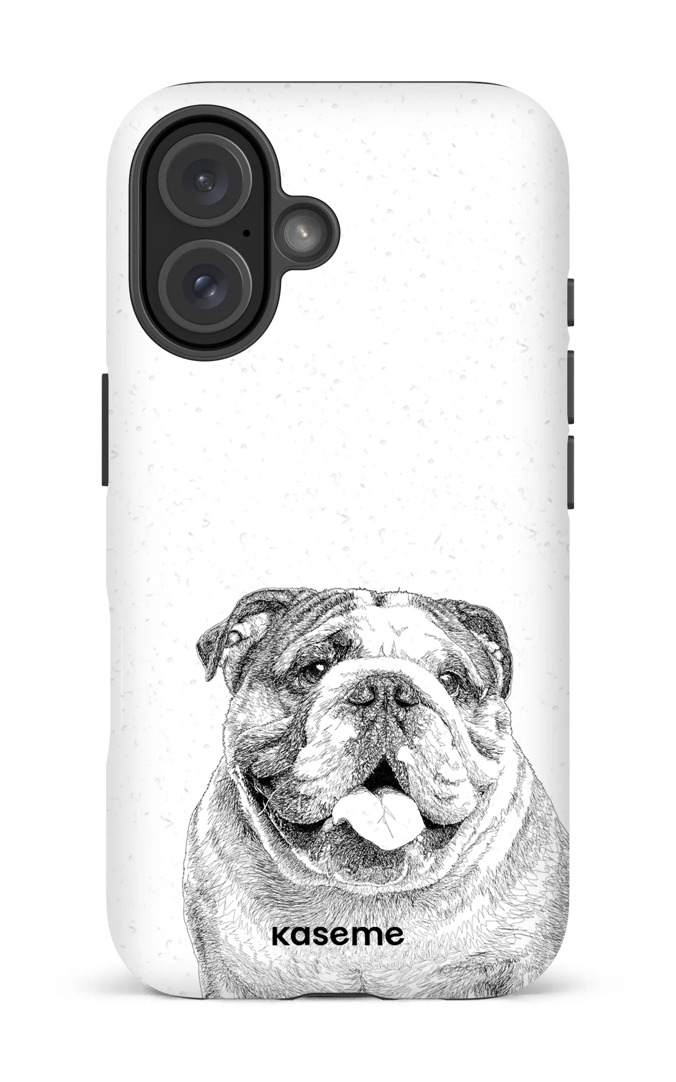 English Bulldog