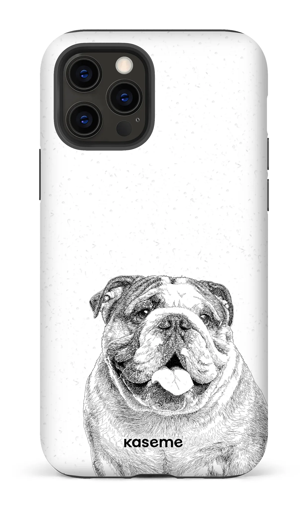 English Bulldog