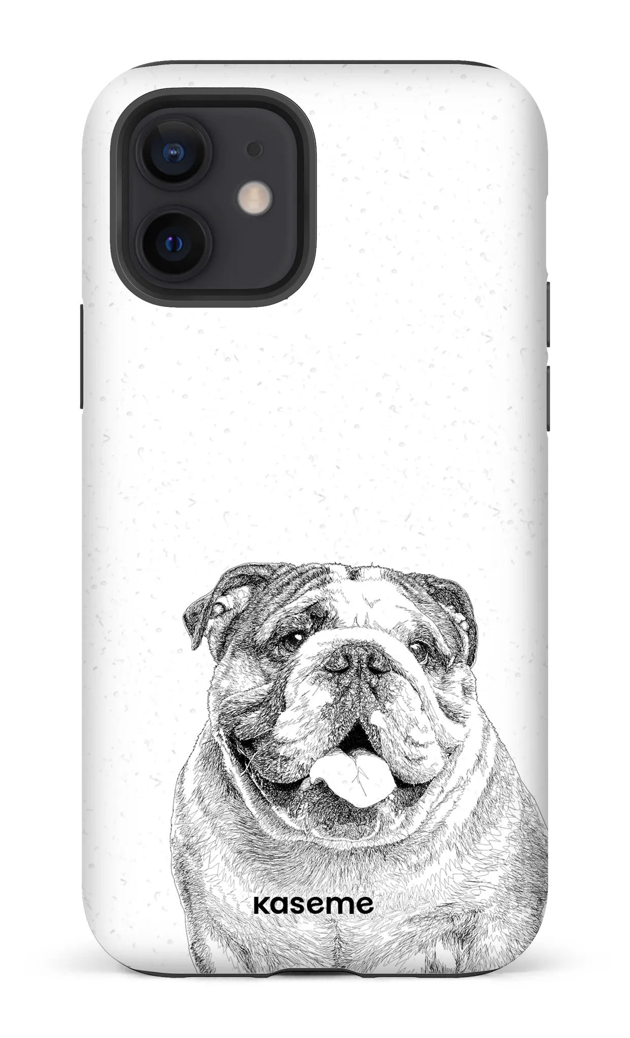 English Bulldog