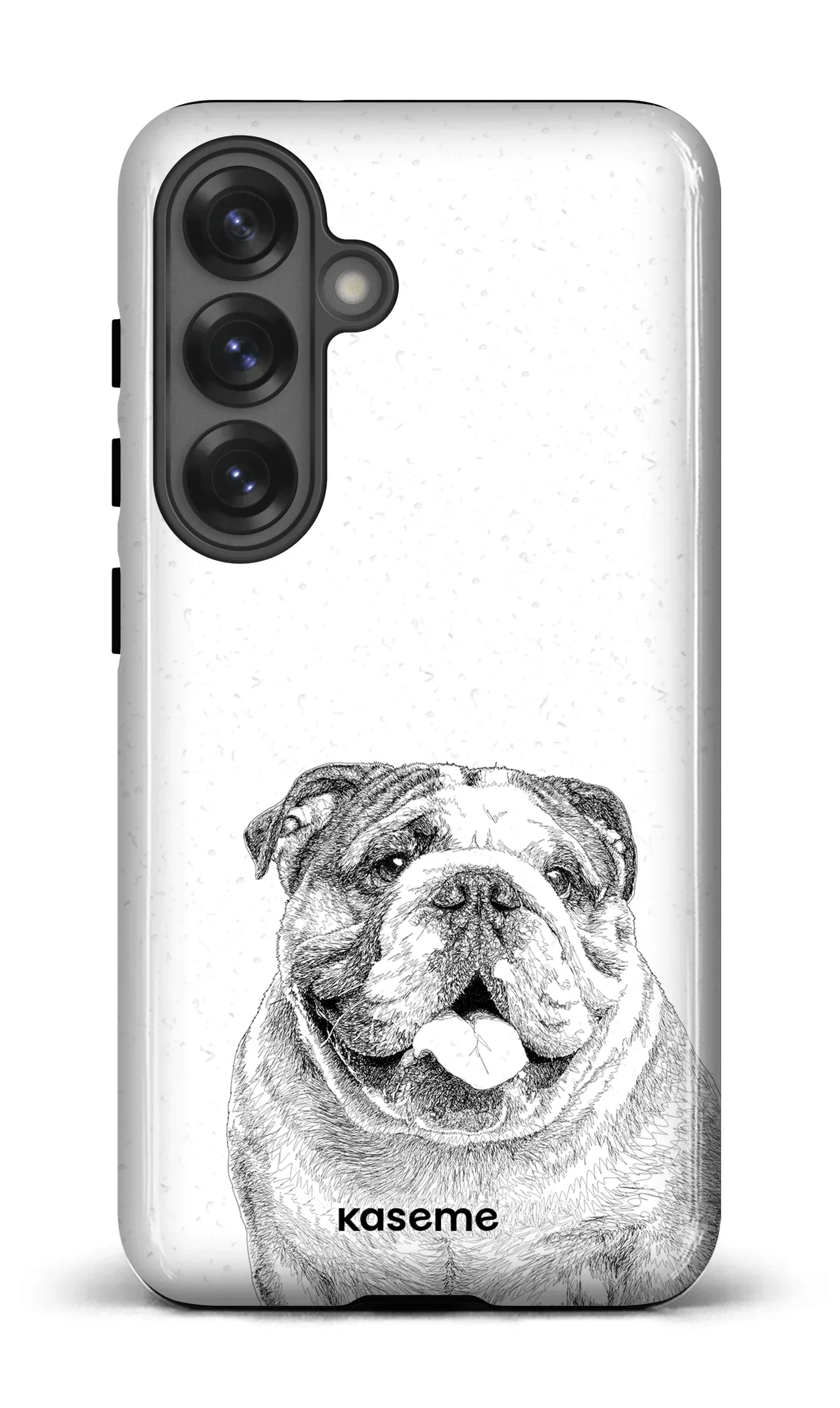 English Bulldog