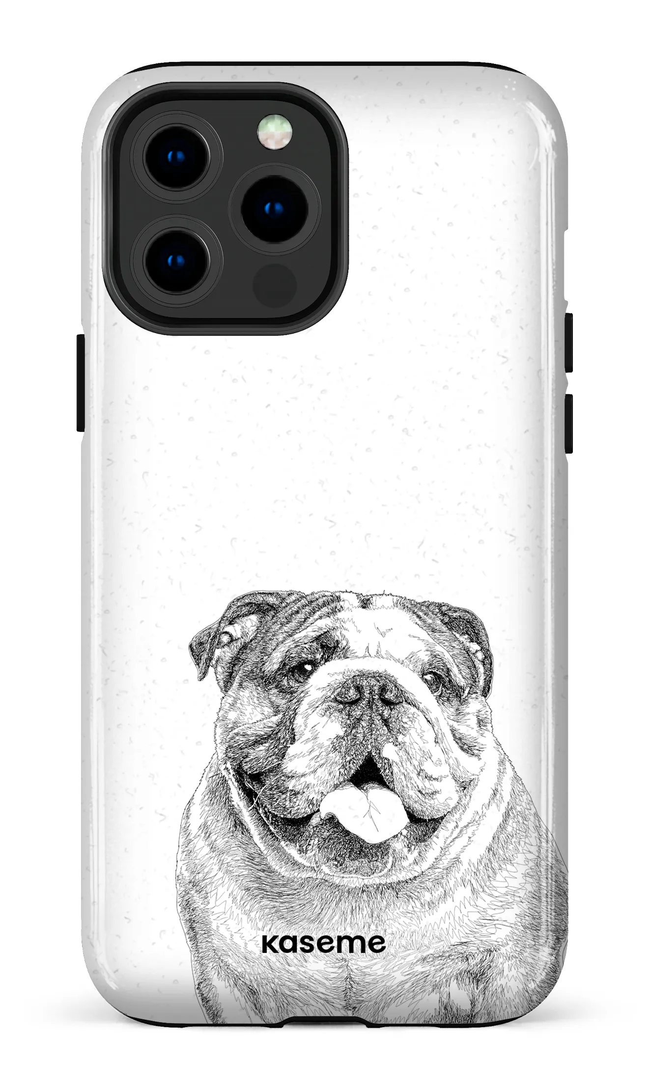 English Bulldog