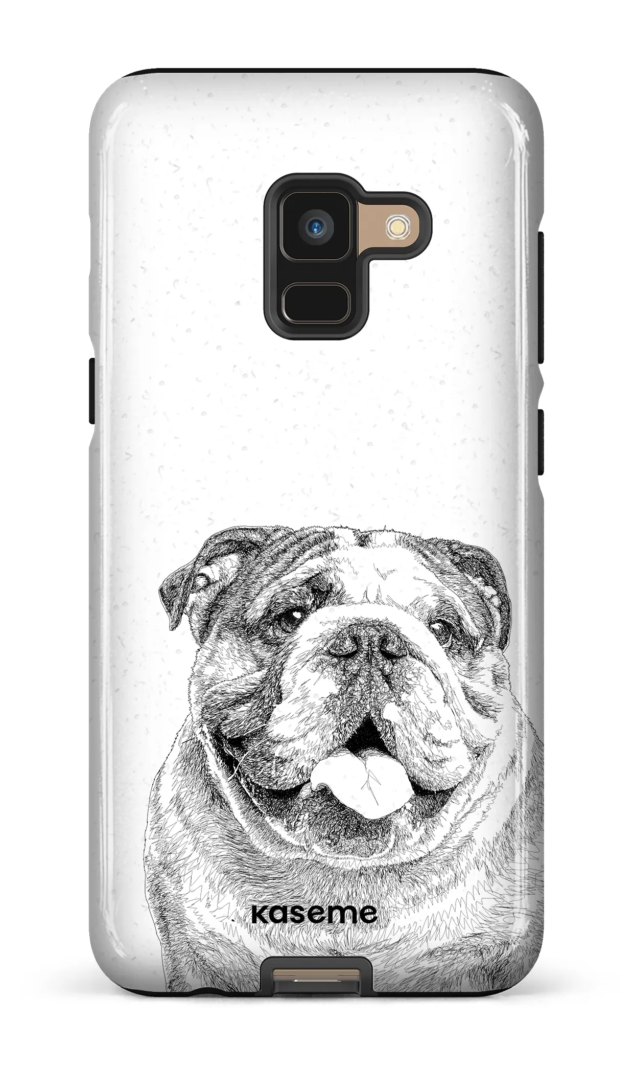 English Bulldog