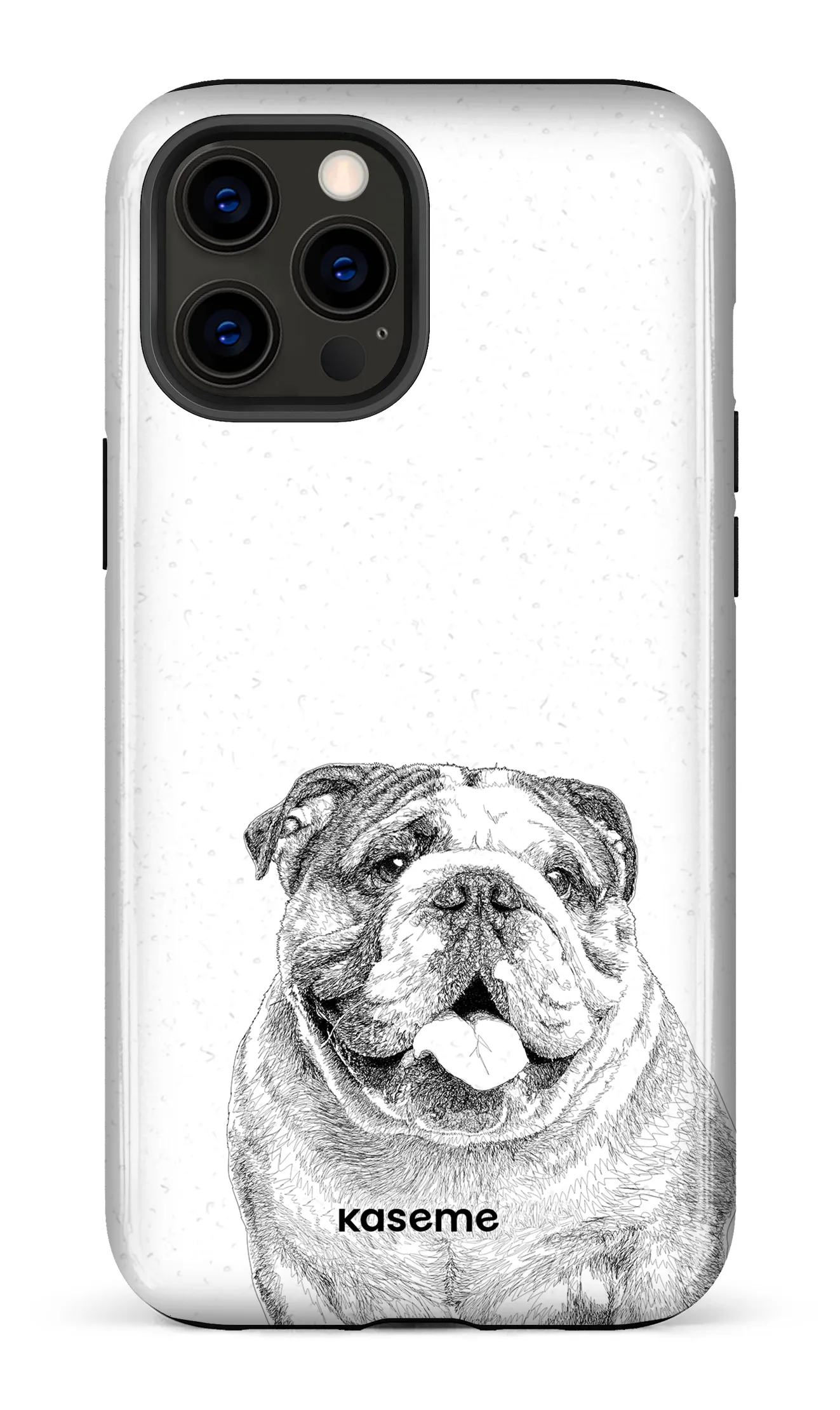 English Bulldog