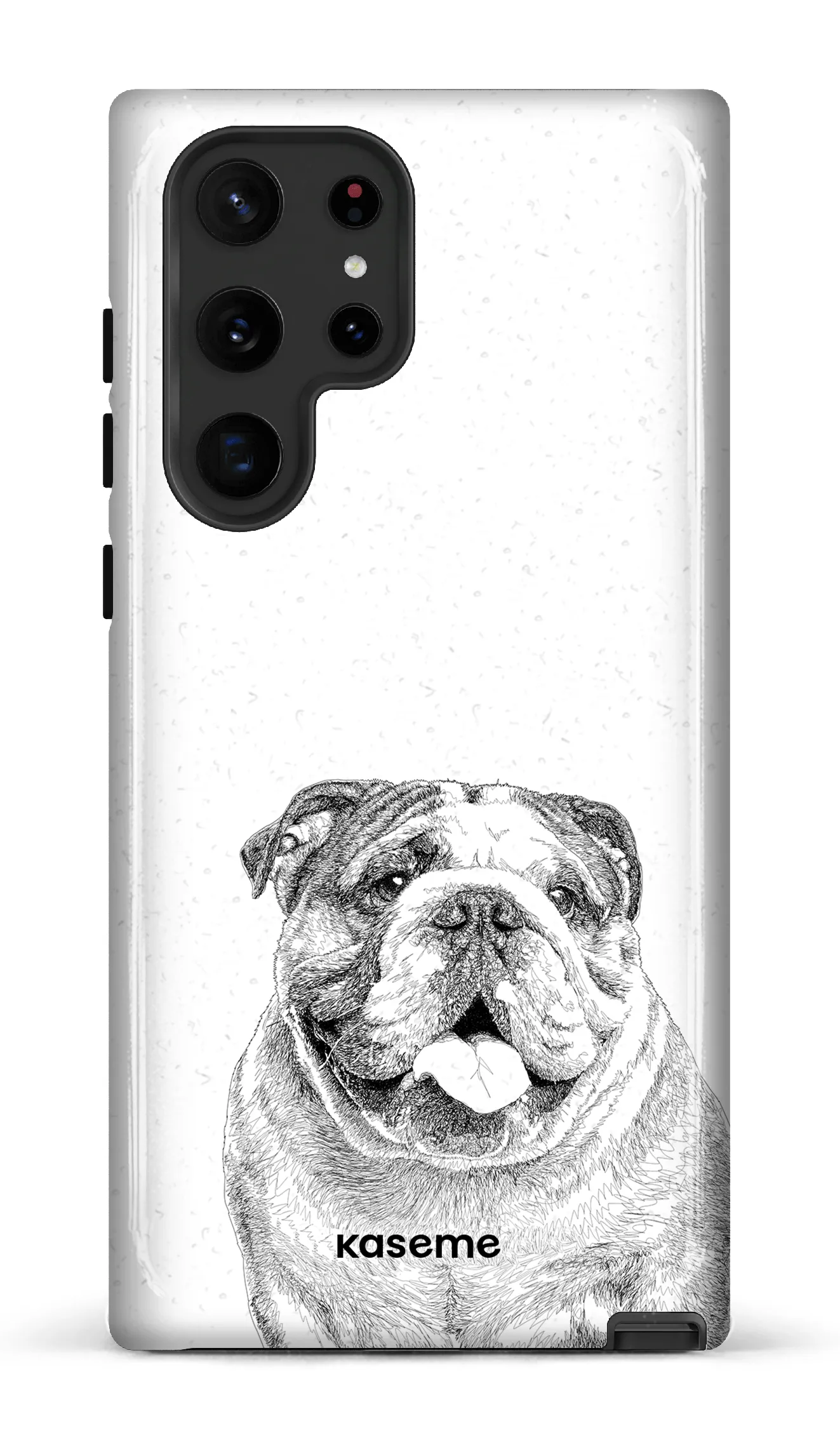English Bulldog