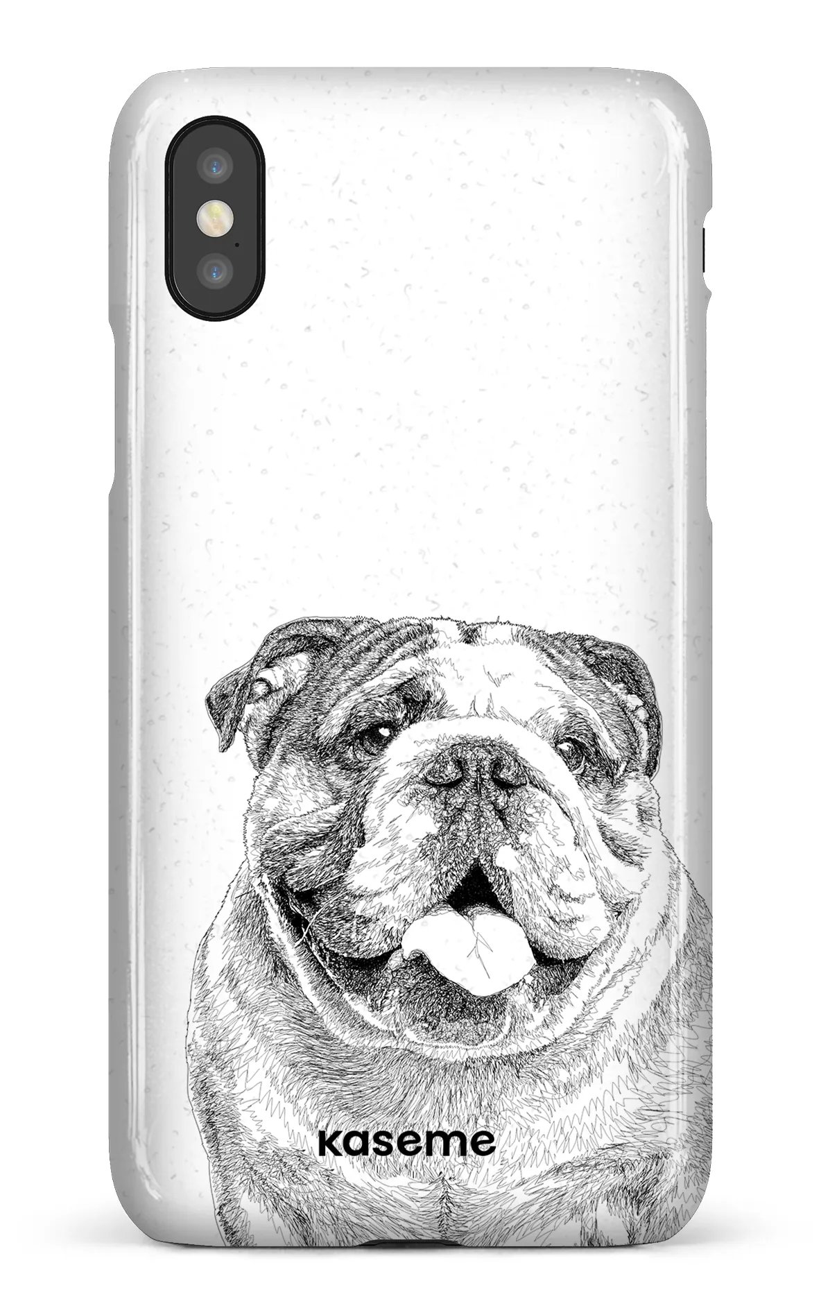 English Bulldog