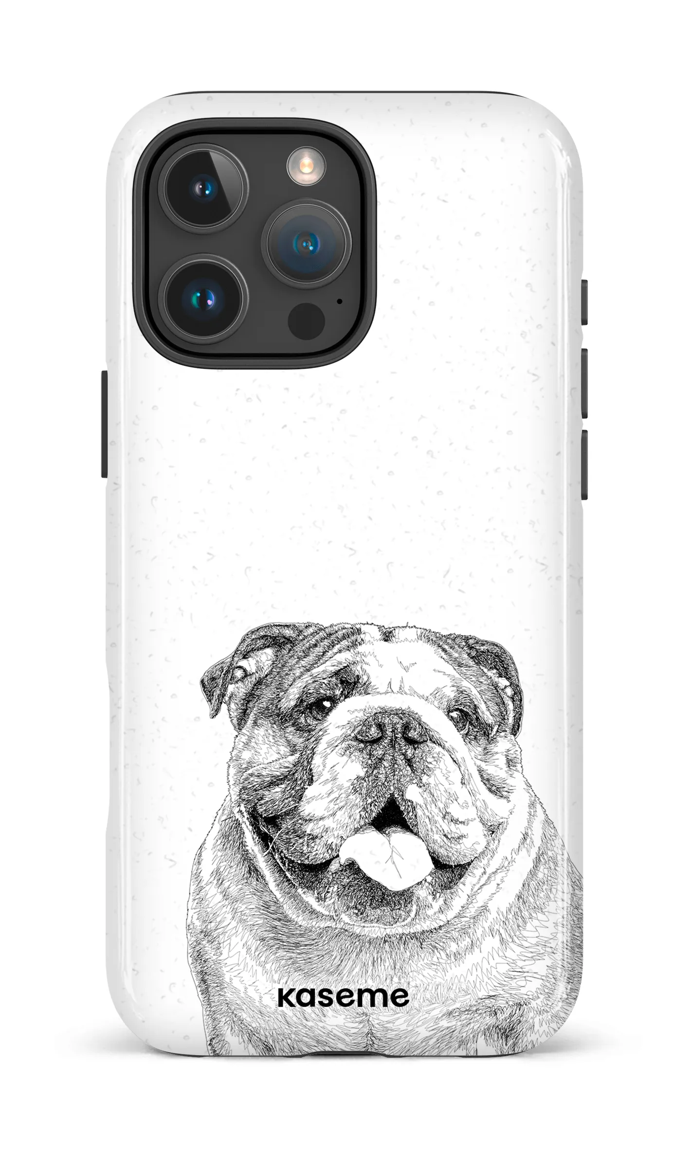 English Bulldog