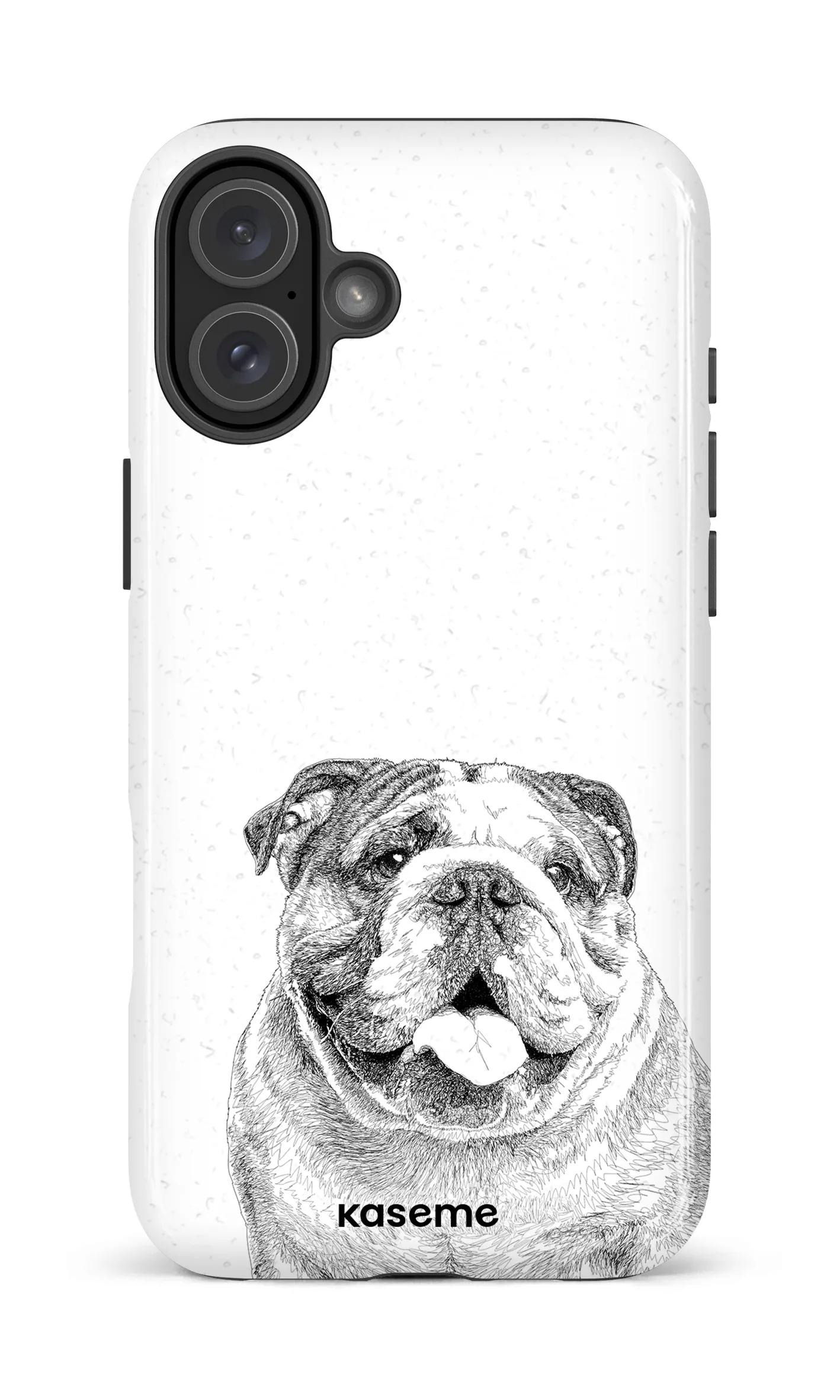 English Bulldog