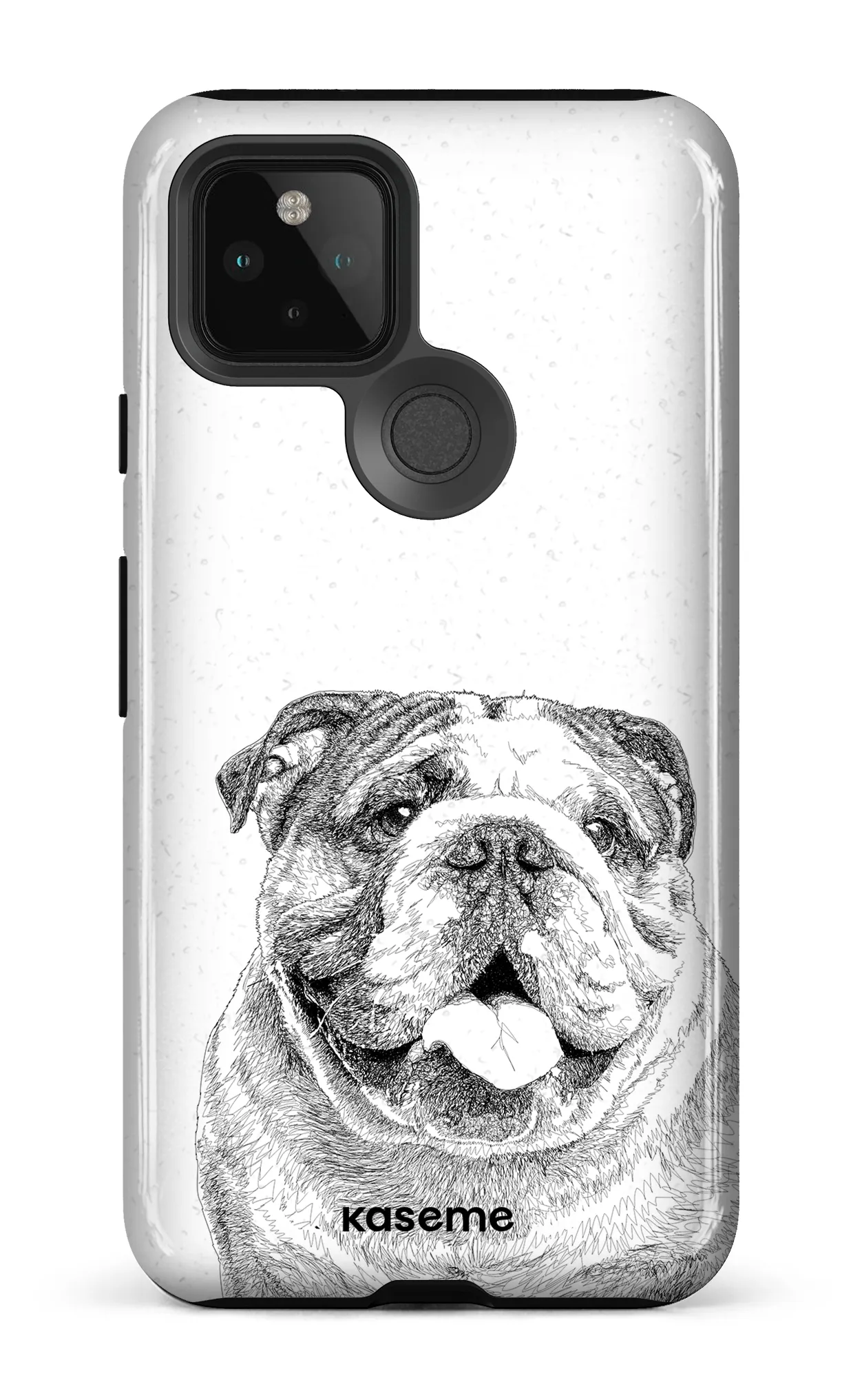 English Bulldog
