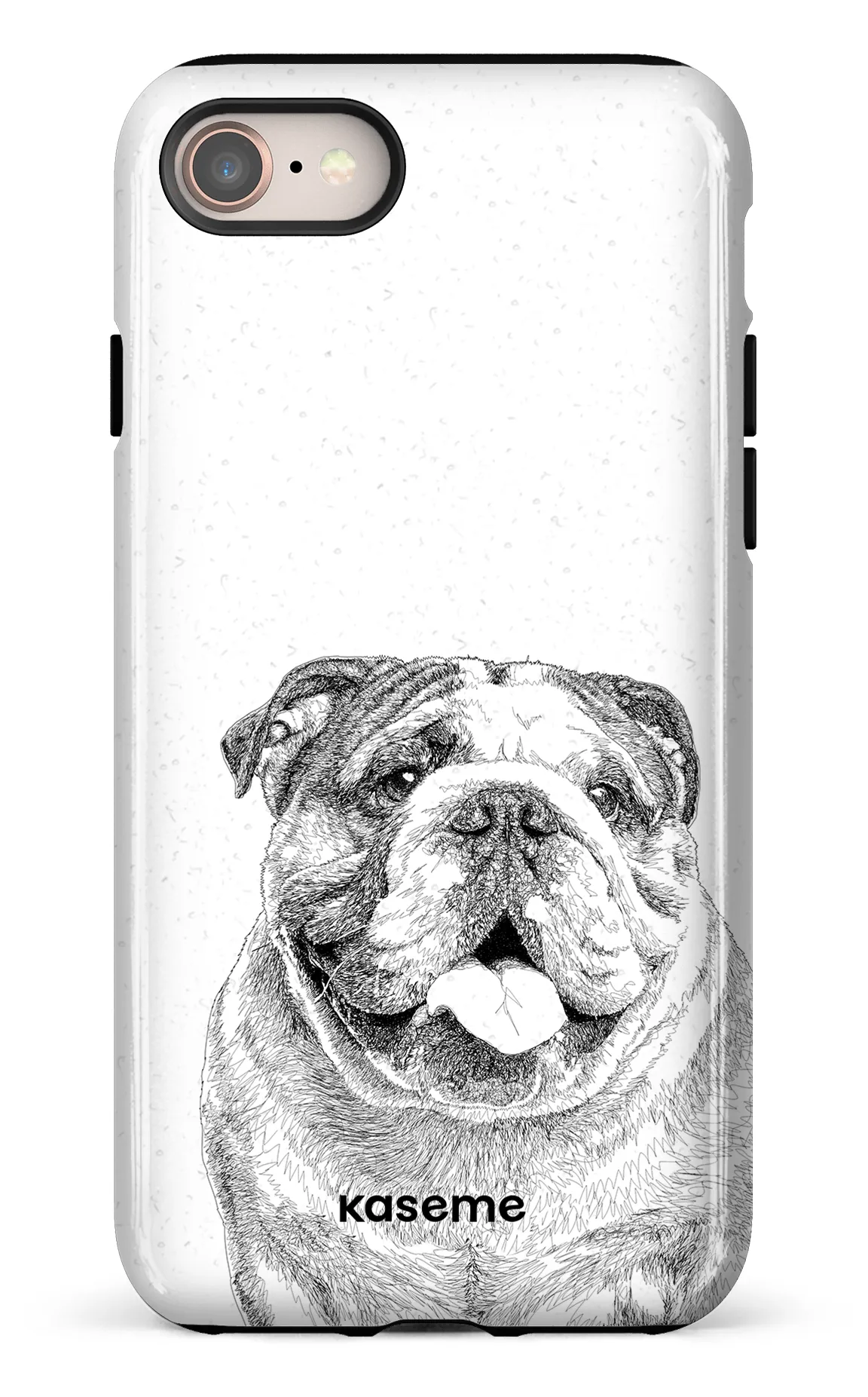 English Bulldog