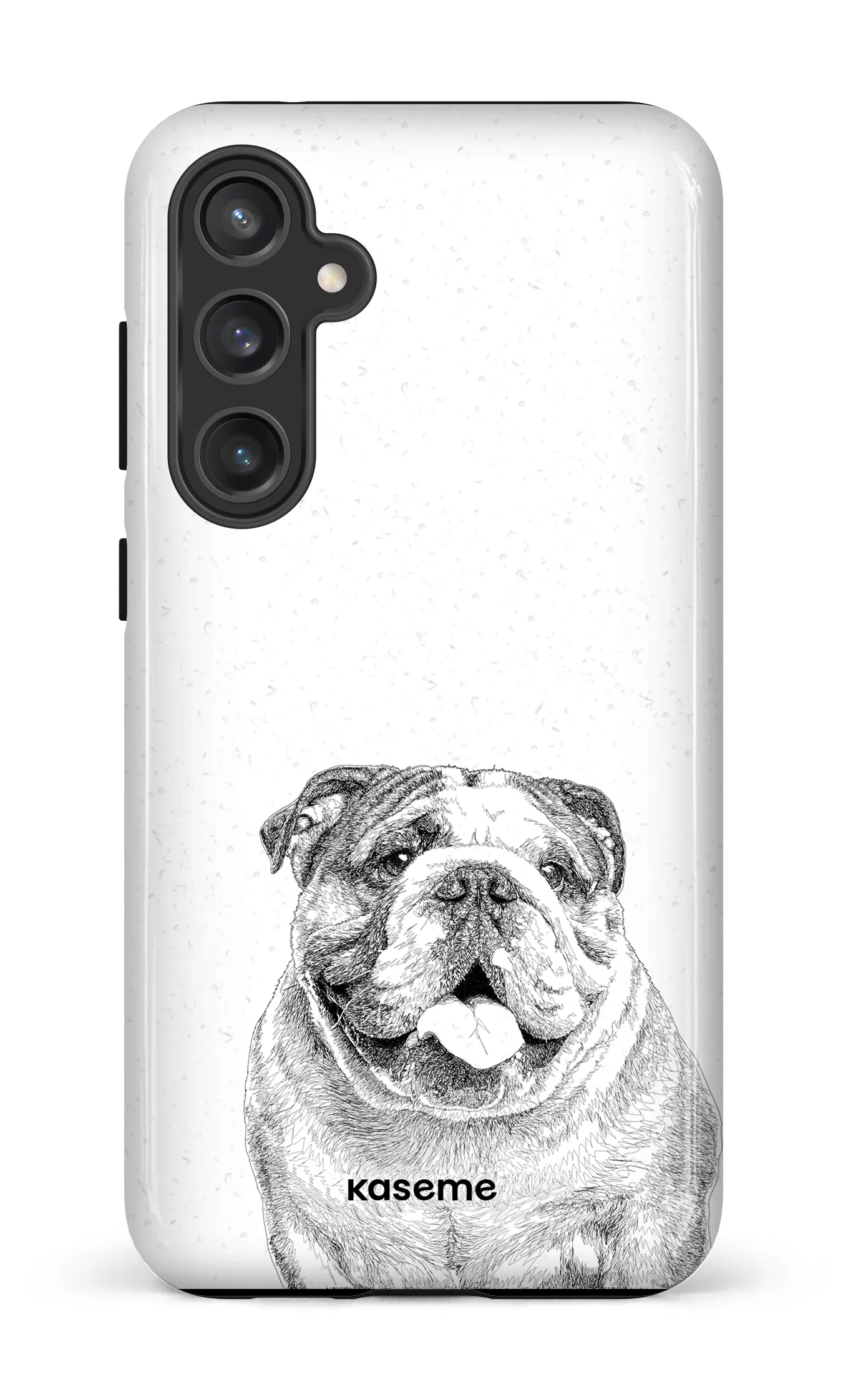 English Bulldog