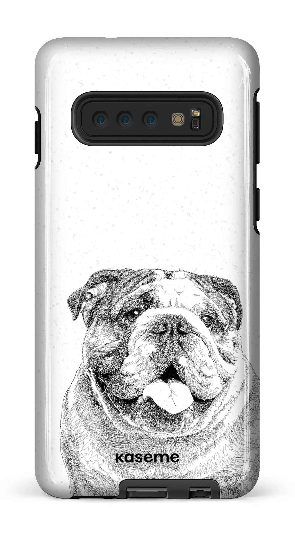 English Bulldog