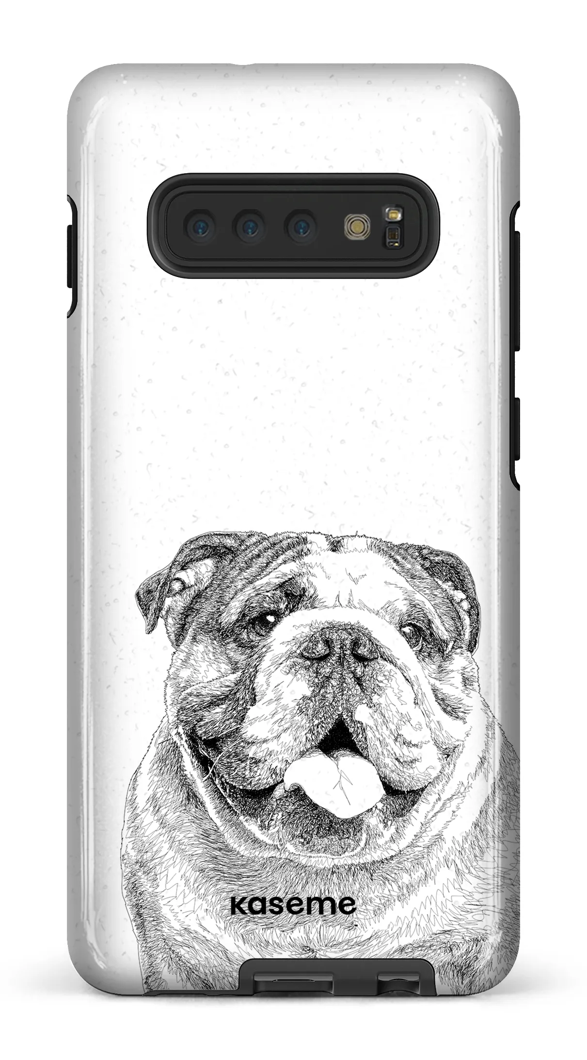 English Bulldog