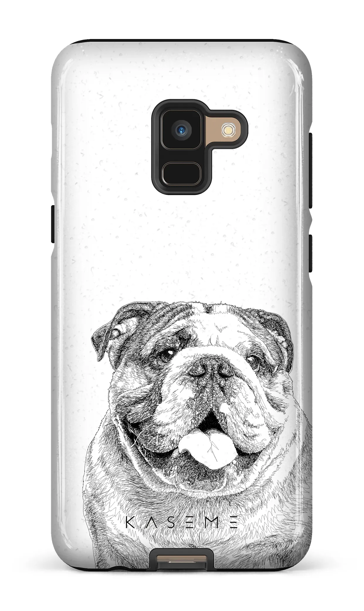 English Bulldog