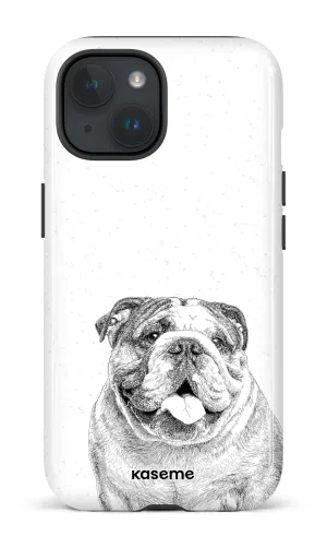 English Bulldog