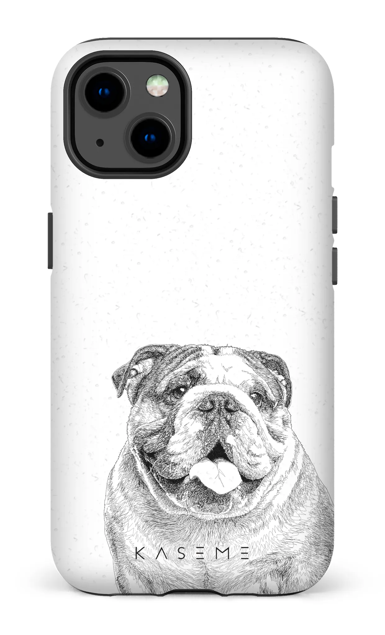 English Bulldog