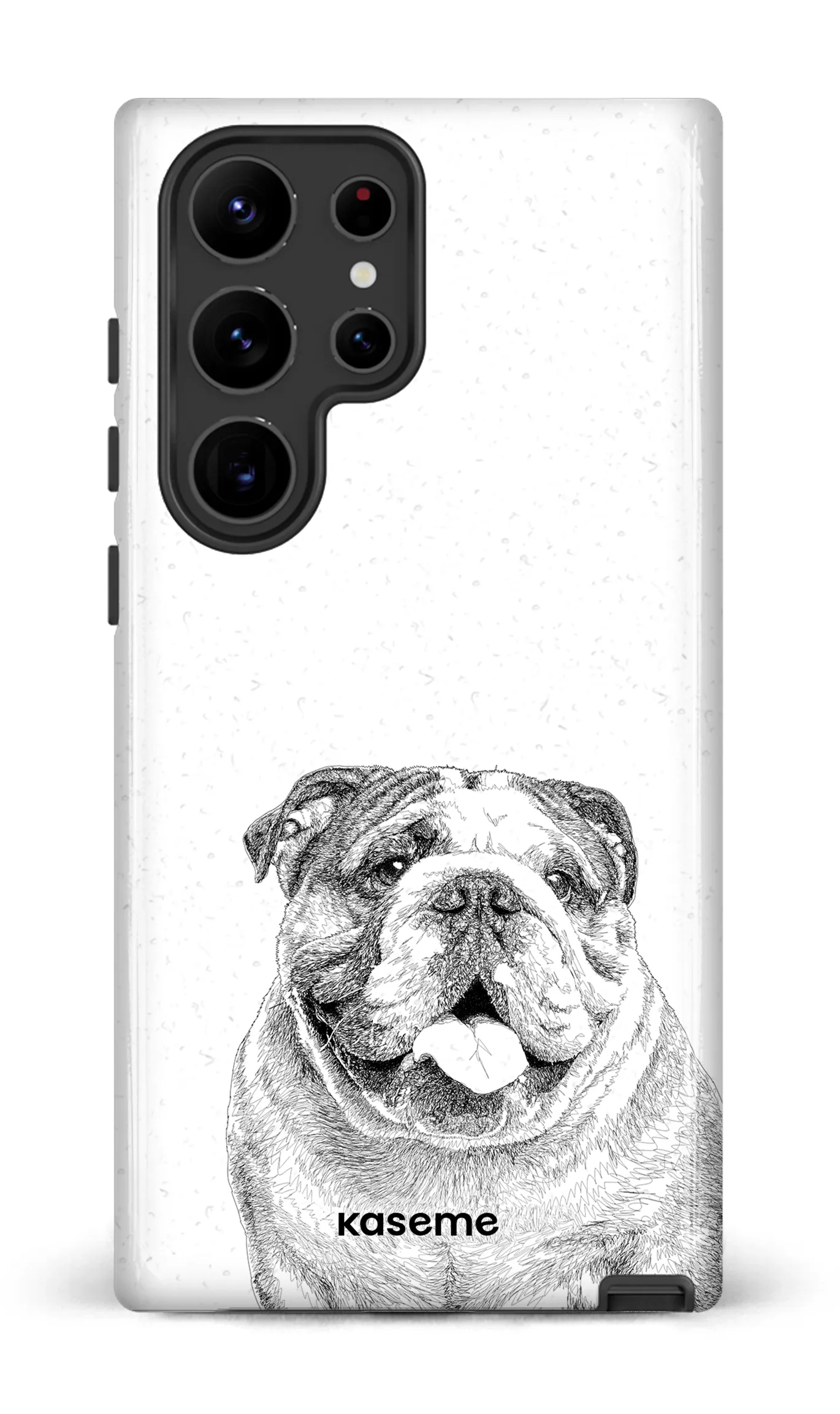 English Bulldog