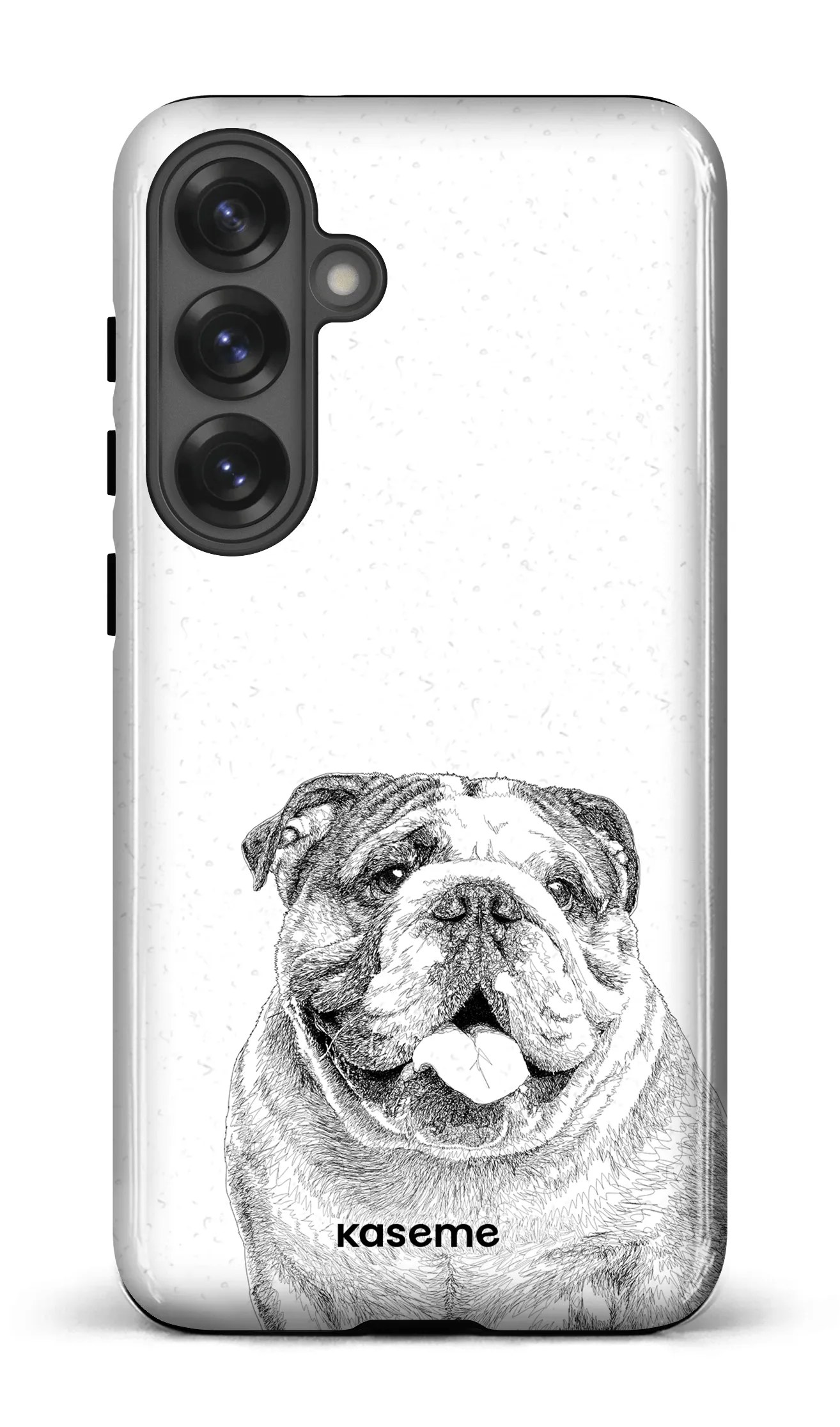 English Bulldog