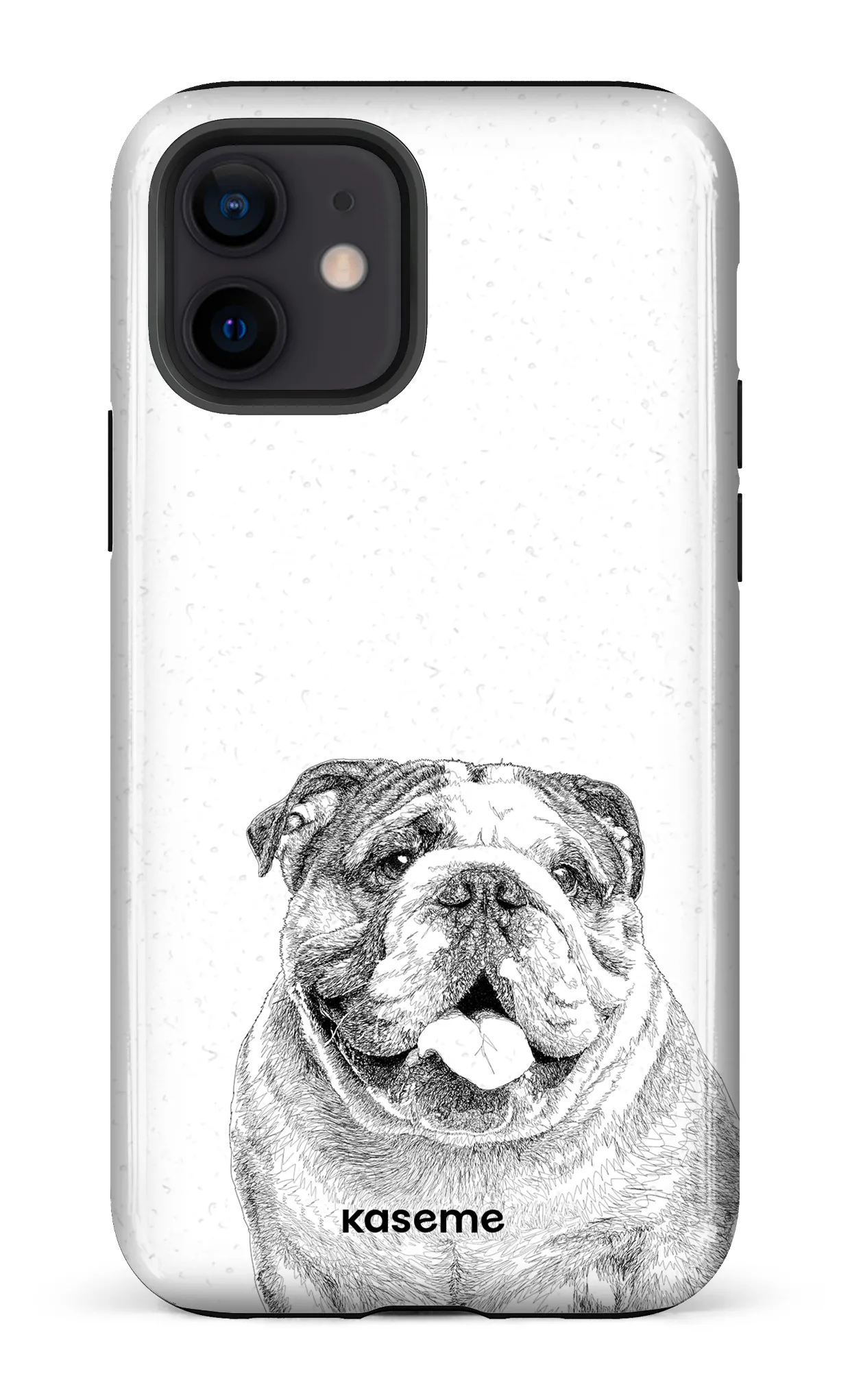 English Bulldog