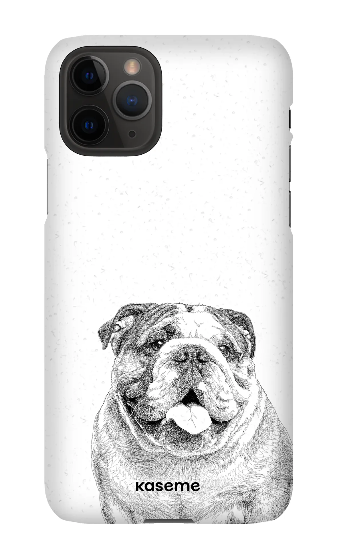 English Bulldog