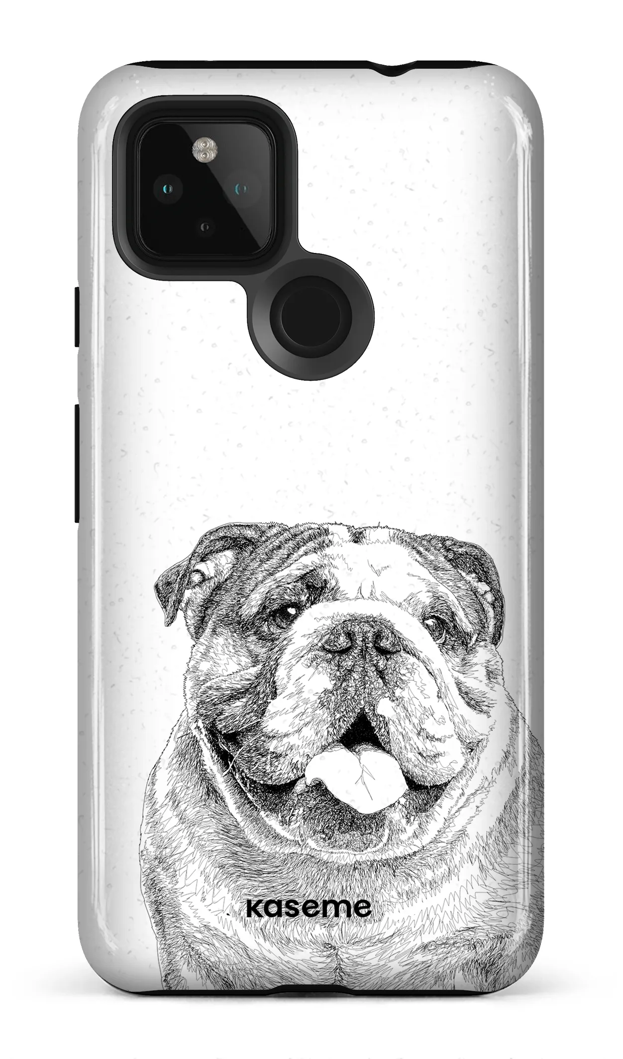 English Bulldog