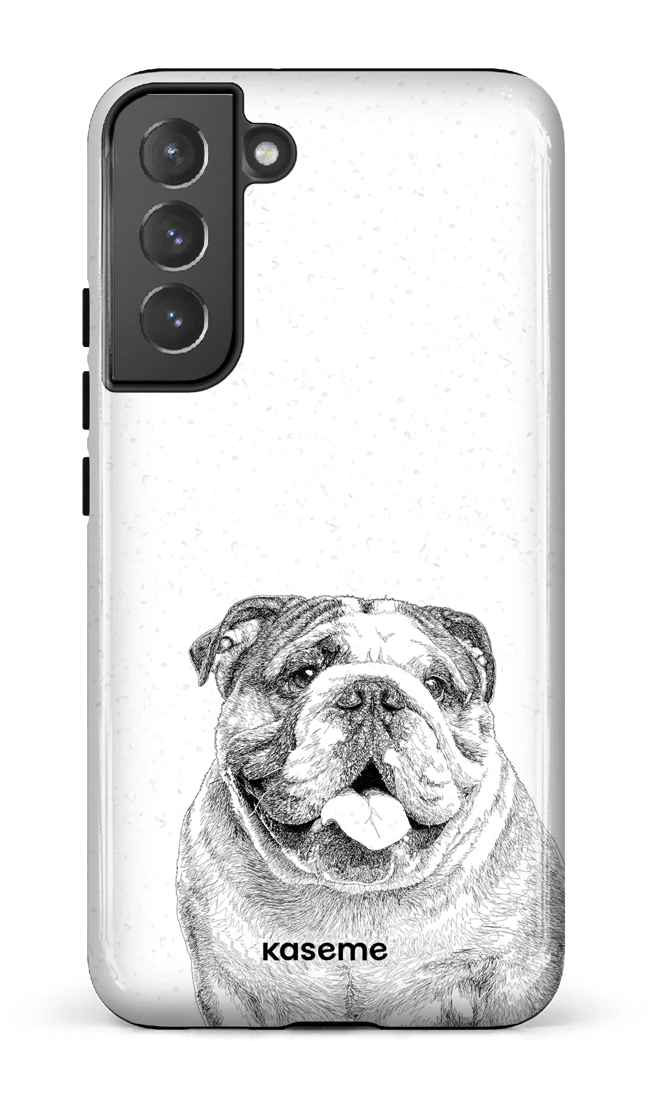 English Bulldog