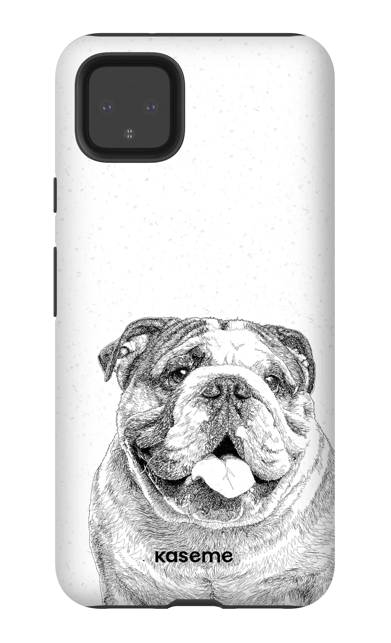 English Bulldog