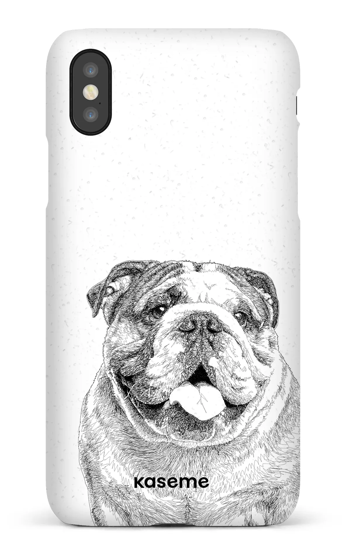 English Bulldog