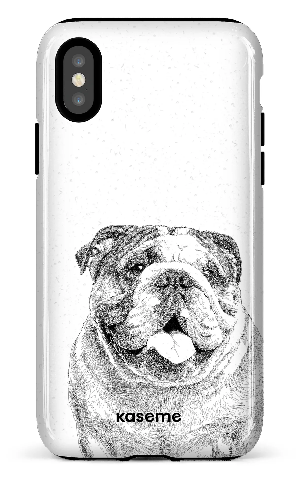 English Bulldog