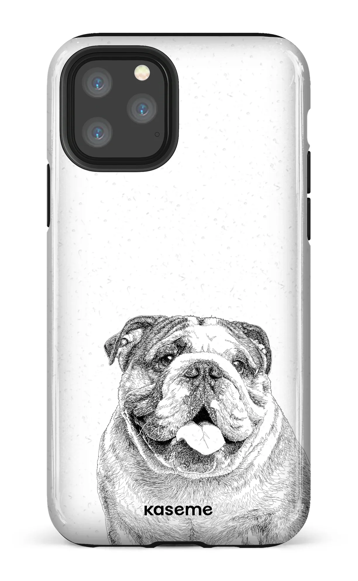 English Bulldog